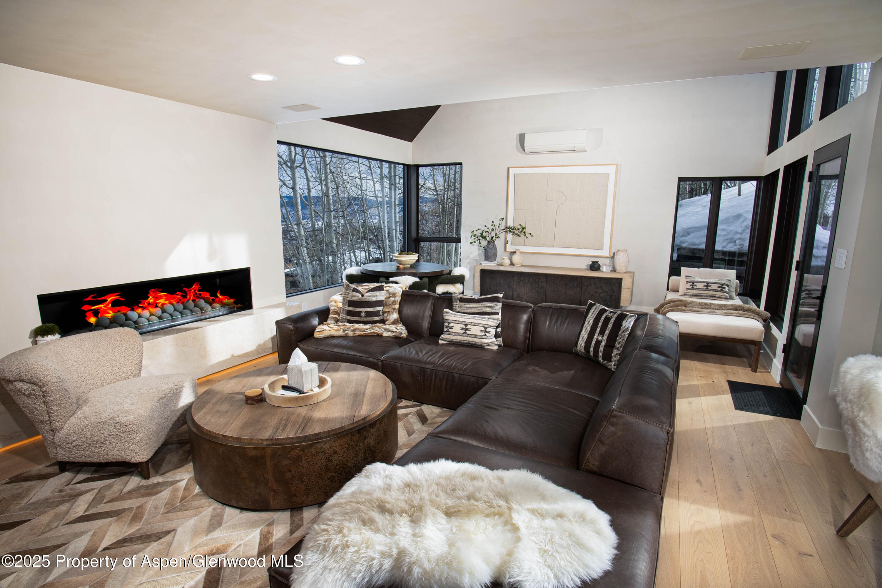 306 EDGEWOOD Lane, Snowmass Village, CO 81615 - Photo 4