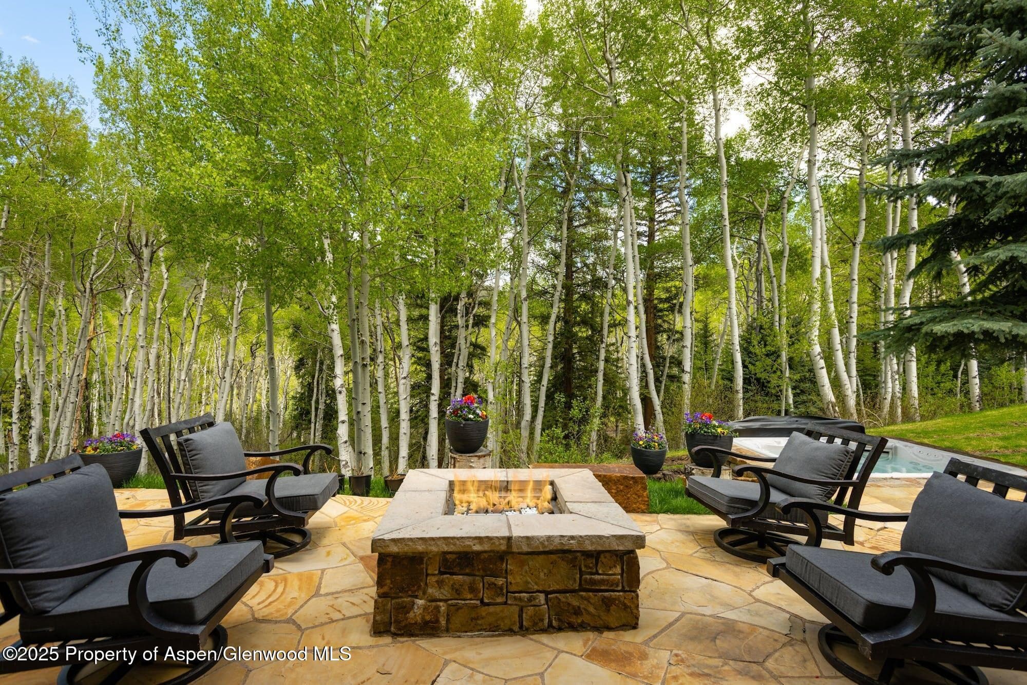 350 SPRUCE RIDGE Lane, Snowmass Village, CO 81615 - Photo 36