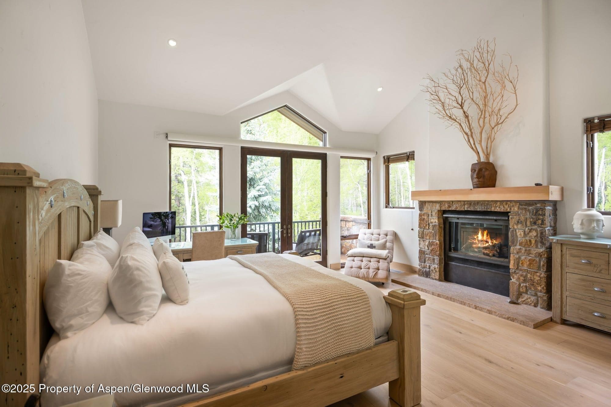 350 SPRUCE RIDGE Lane, Snowmass Village, CO 81615 - Photo 27