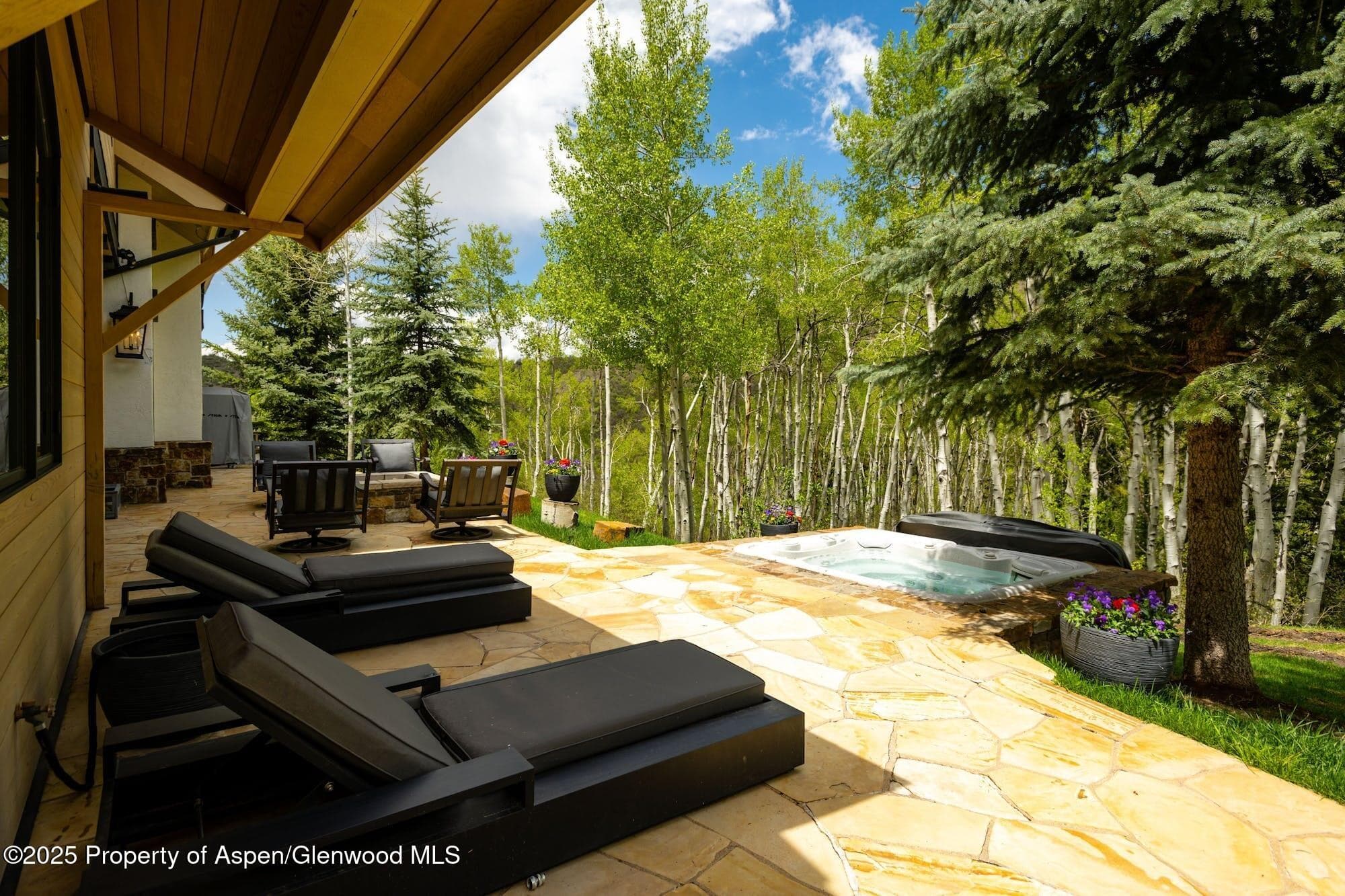 350 SPRUCE RIDGE Lane, Snowmass Village, CO 81615 - Photo 34
