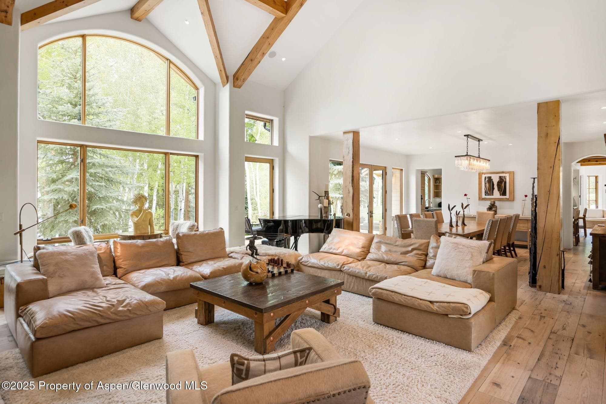 350 SPRUCE RIDGE Lane, Snowmass Village, CO 81615 - Photo 9