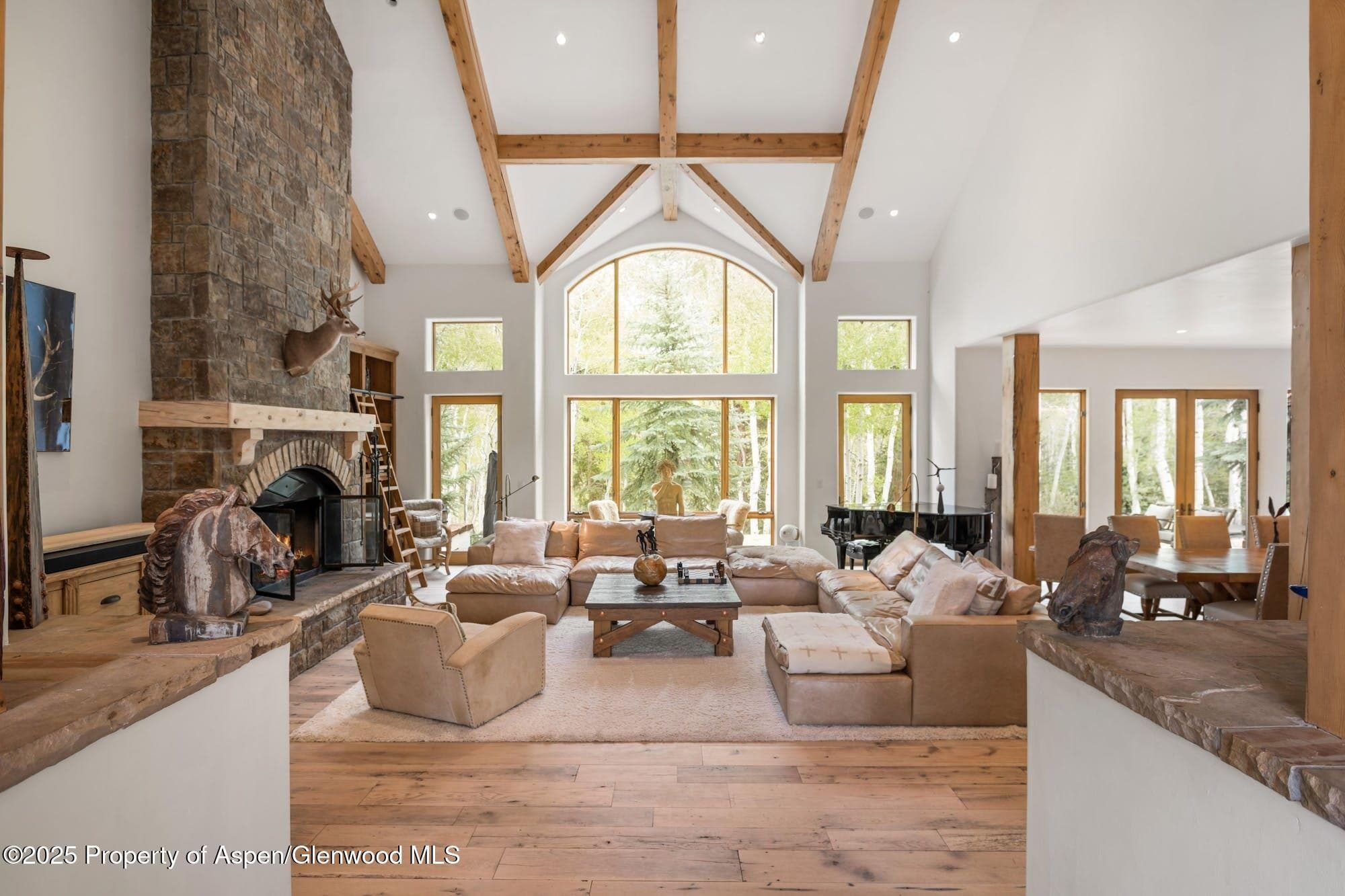 350 SPRUCE RIDGE Lane, Snowmass Village, CO 81615 - Photo 5