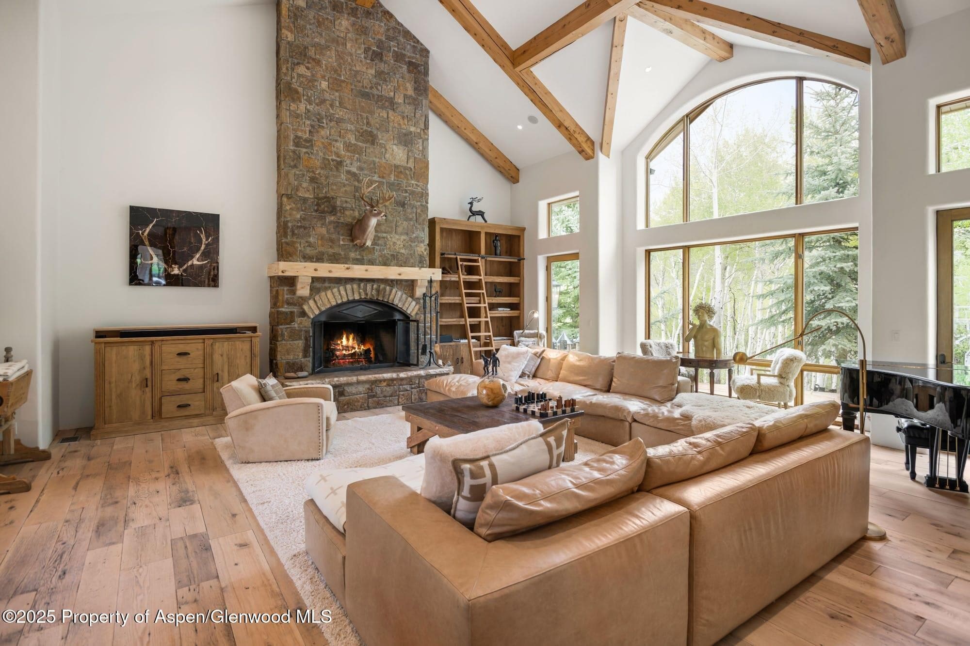 350 SPRUCE RIDGE Lane, Snowmass Village, CO 81615 - Photo 8