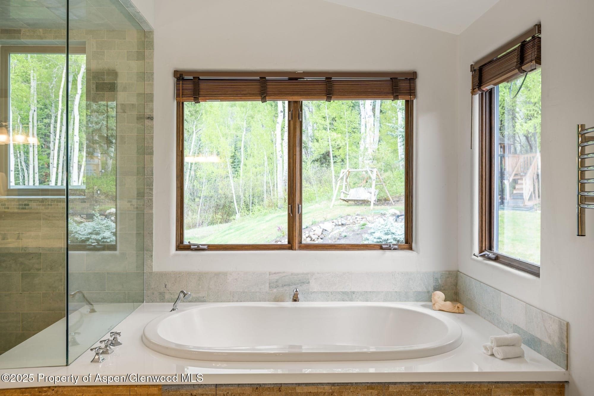 350 SPRUCE RIDGE Lane, Snowmass Village, CO 81615 - Photo 29