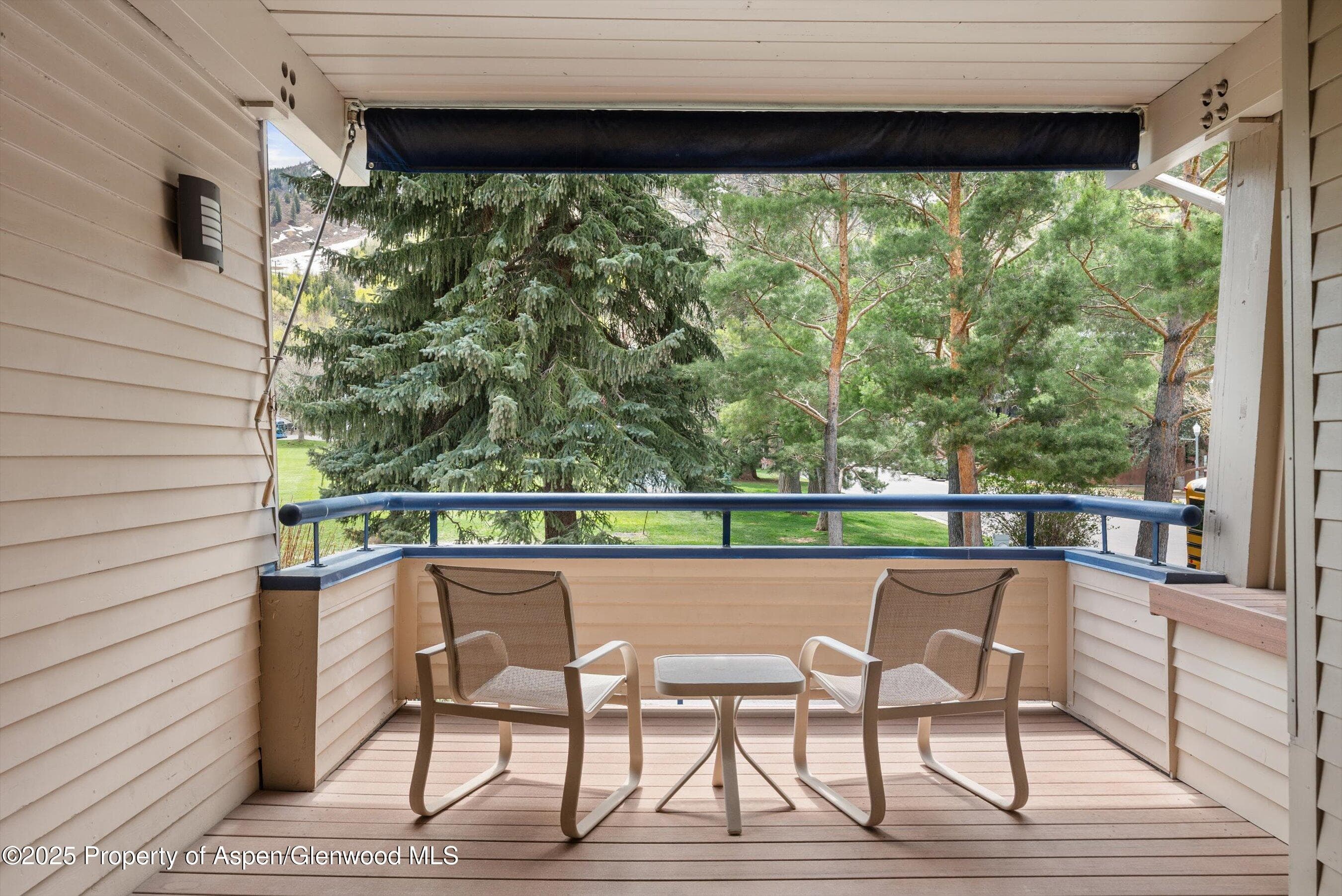 301 E Hyman Avenue 202, Aspen, CO 81611 - Photo 3