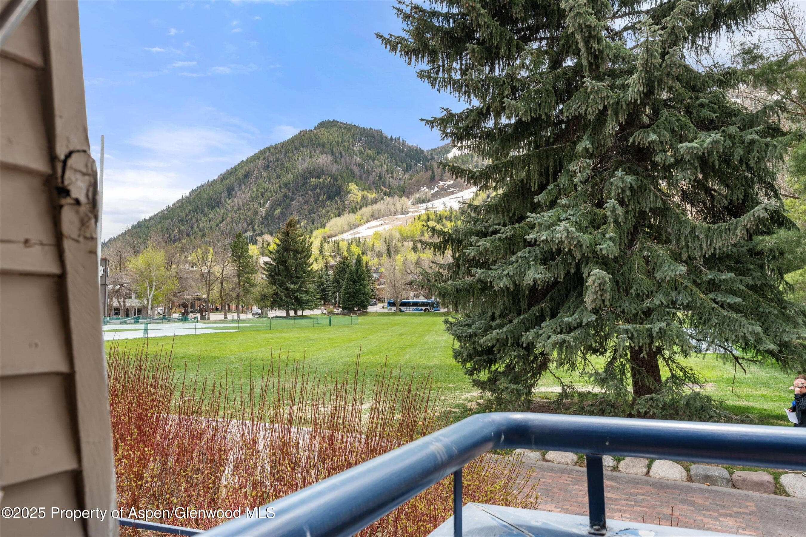 301 E Hyman Avenue 202, Aspen, CO 81611 - Photo 5