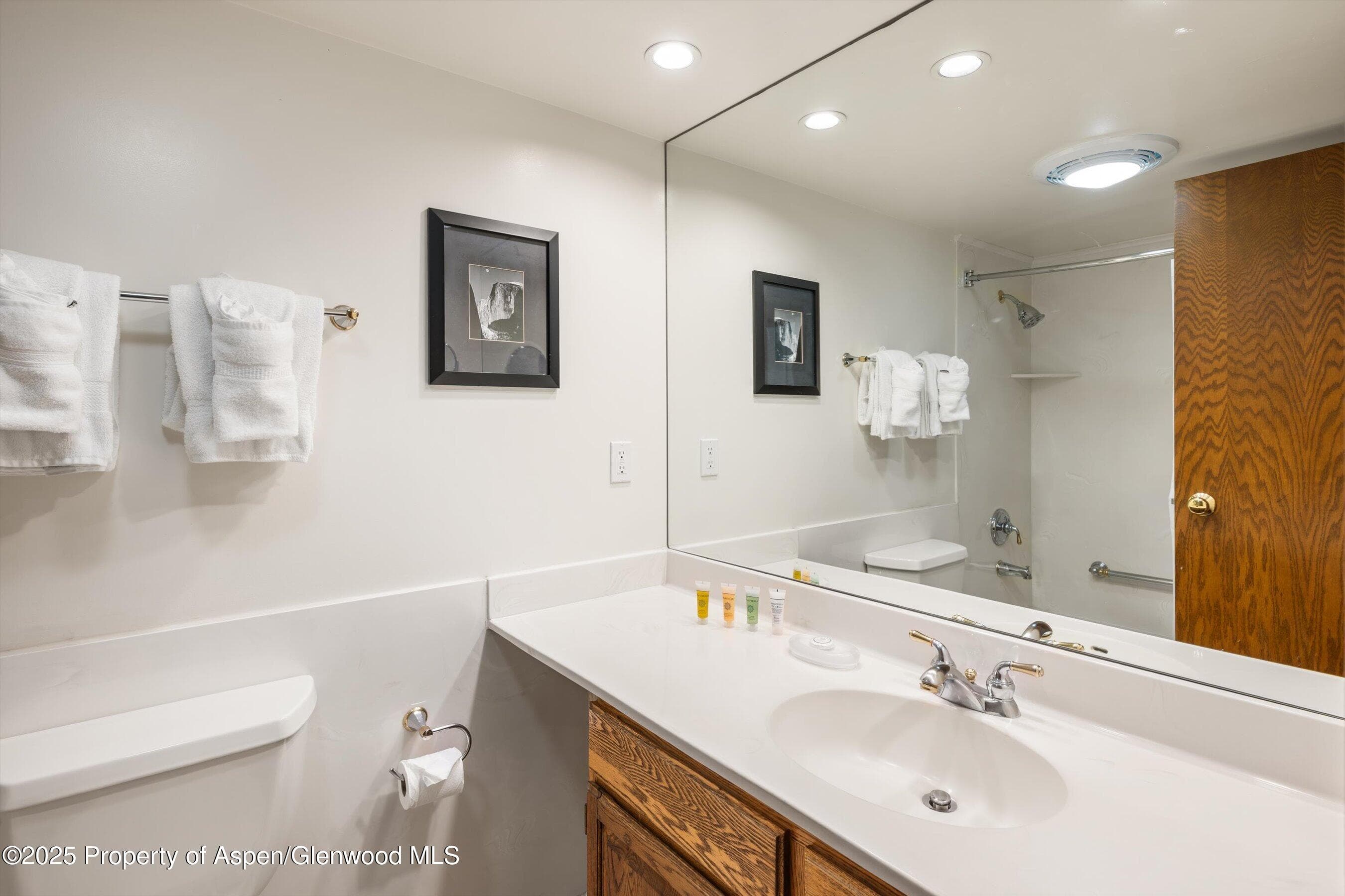 301 E Hyman Avenue 202, Aspen, CO 81611 - Photo 14