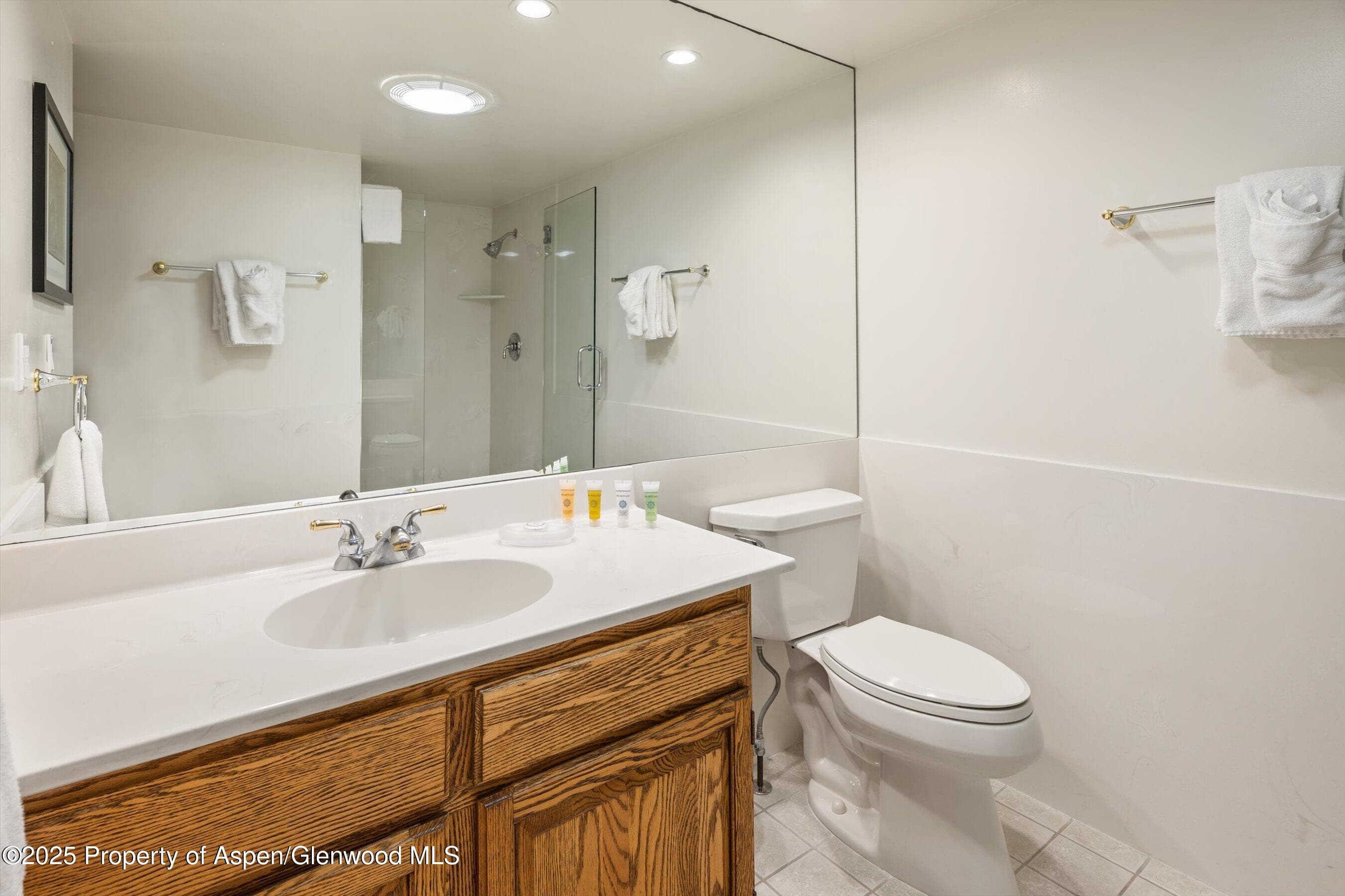 301 E Hyman Avenue 202, Aspen, CO 81611 - Photo 15