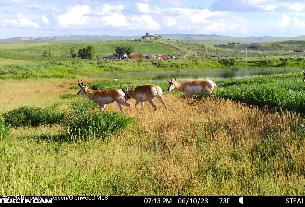 1210 County Road 103, Craig, CO 81625 - Photo 106