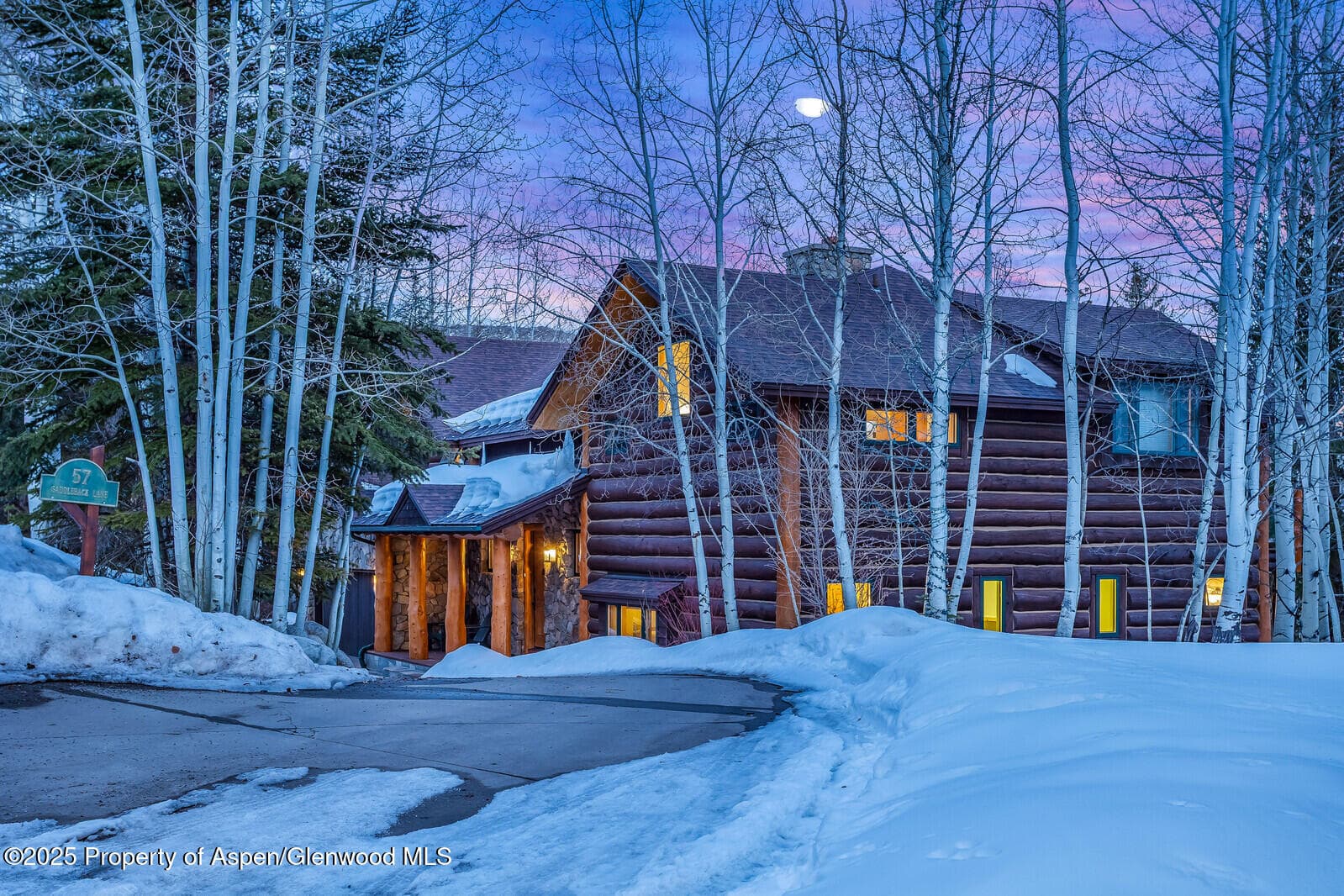 57 Saddleback Lane, Snowmass Village, CO 81615 - Photo 2