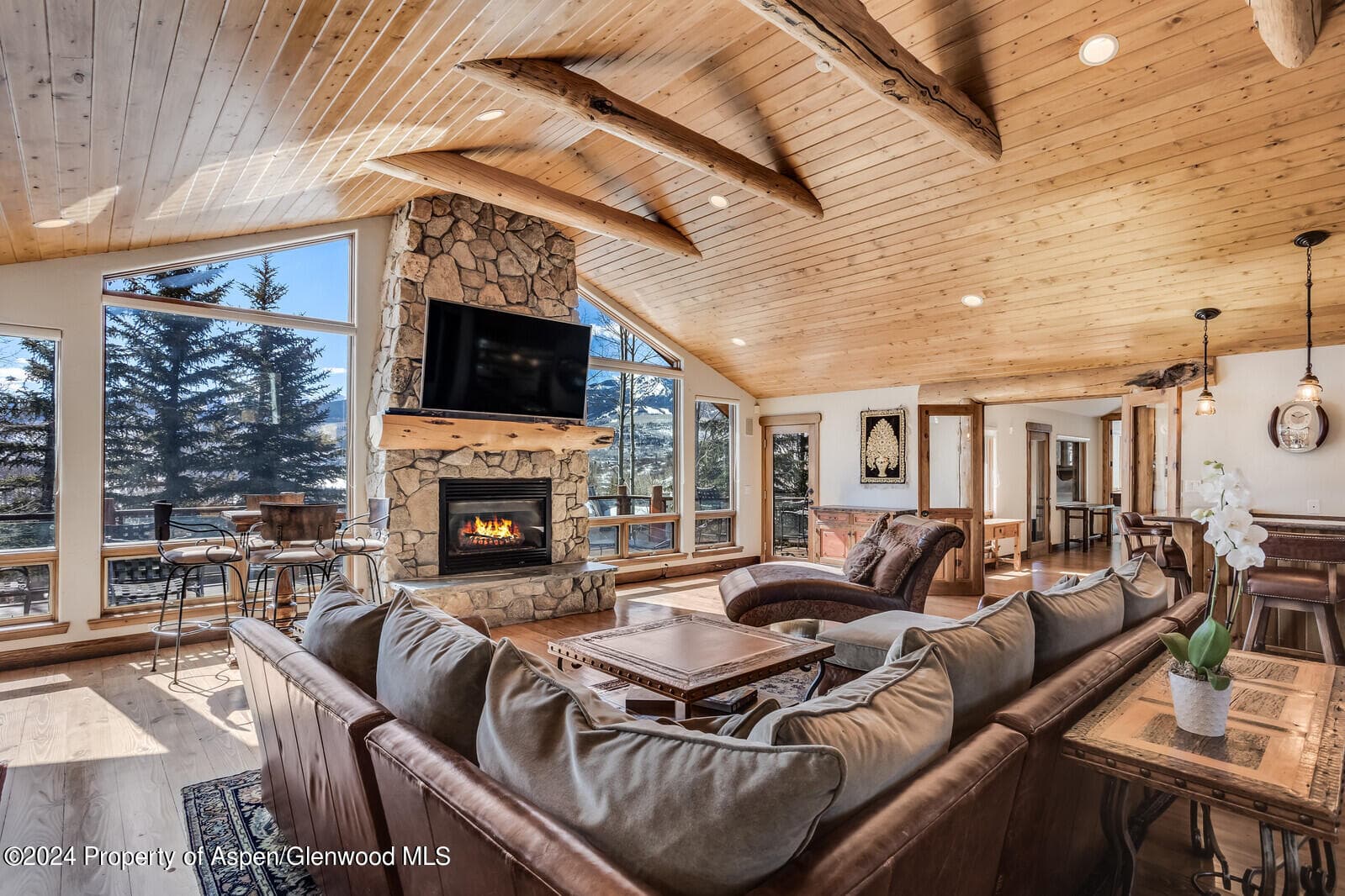 57 Saddleback Lane, Snowmass Village, CO 81615 - Photo 26