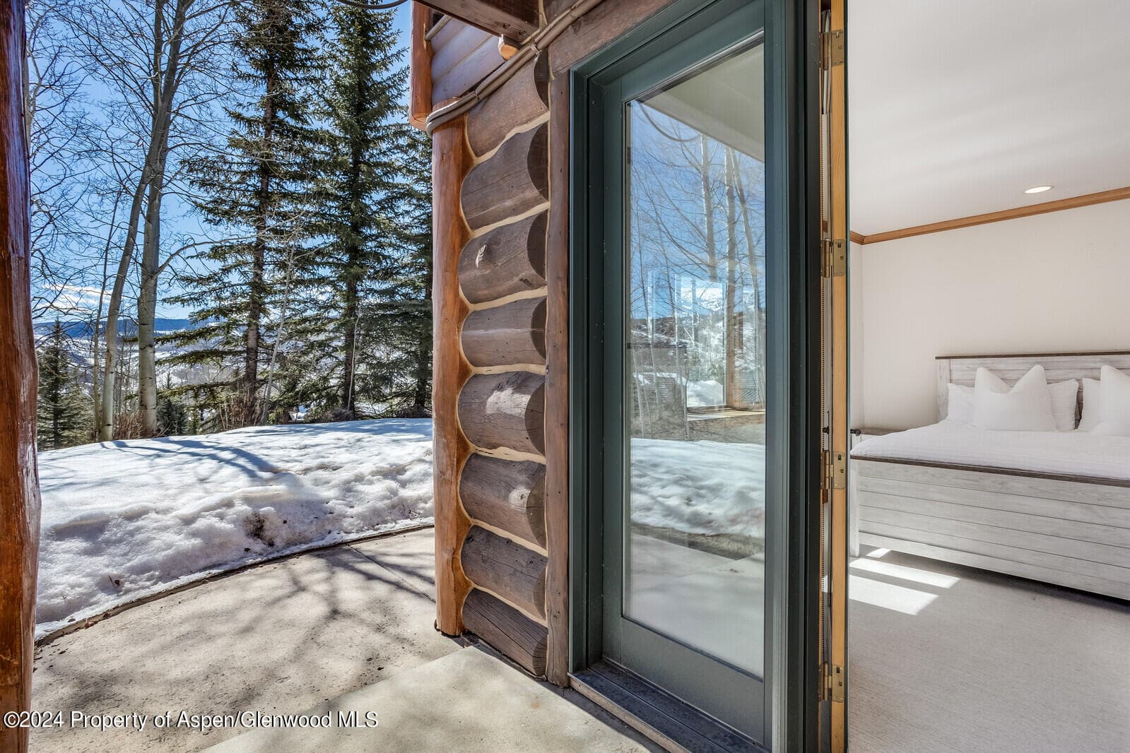 57 Saddleback Lane, Snowmass Village, CO 81615 - Photo 64