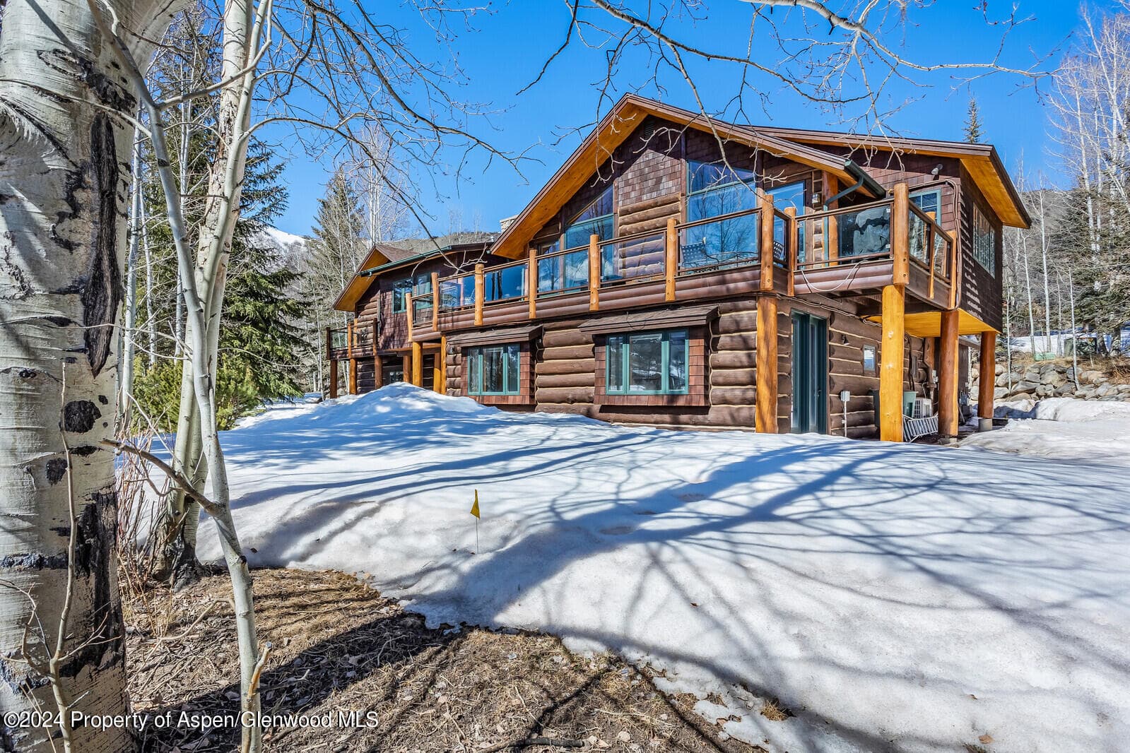 57 Saddleback Lane, Snowmass Village, CO 81615 - Photo 68