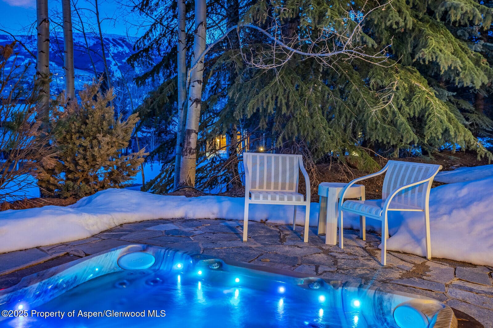 57 Saddleback Lane, Snowmass Village, CO 81615 - Photo 77