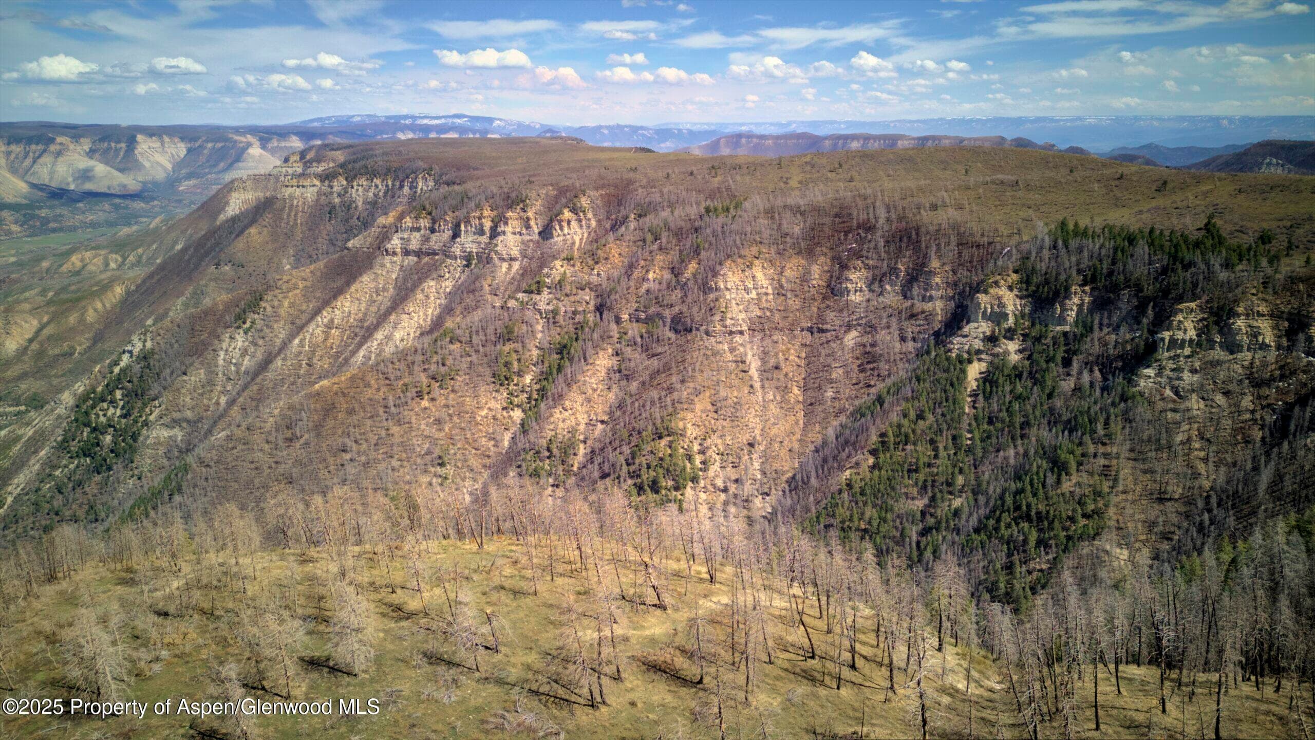 TBD County Road 202, De Beque, CO 81630 - Photo 9