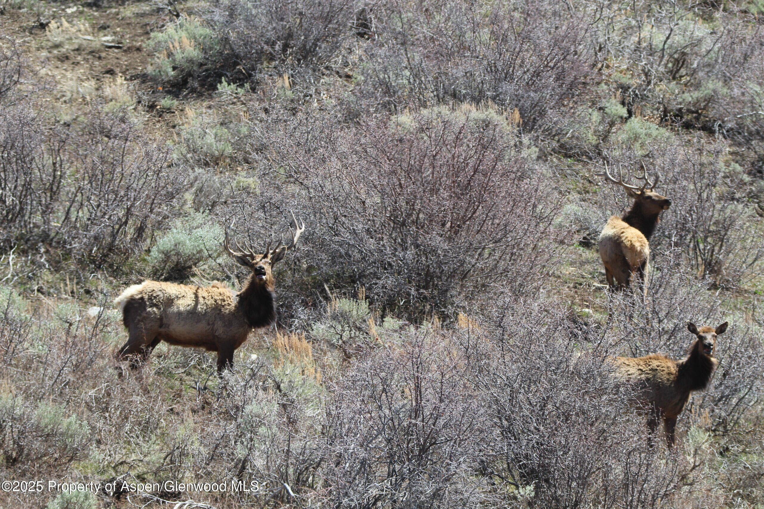 TBD County Road 202, De Beque, CO 81630 - Photo 11