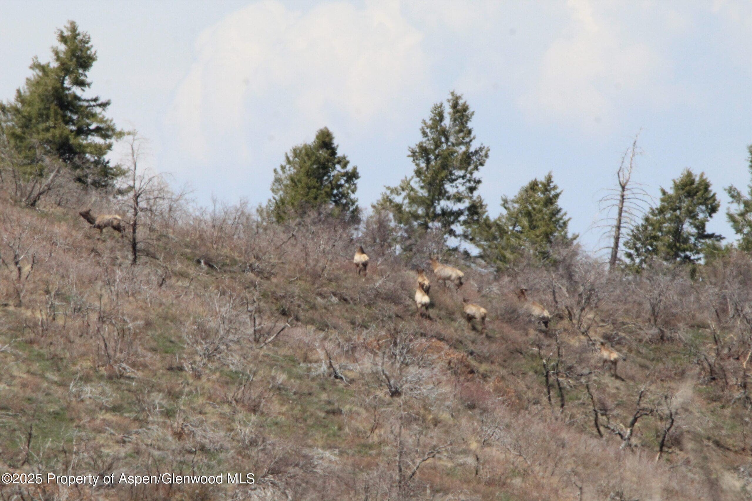 TBD County Road 202, De Beque, CO 81630 - Photo 12