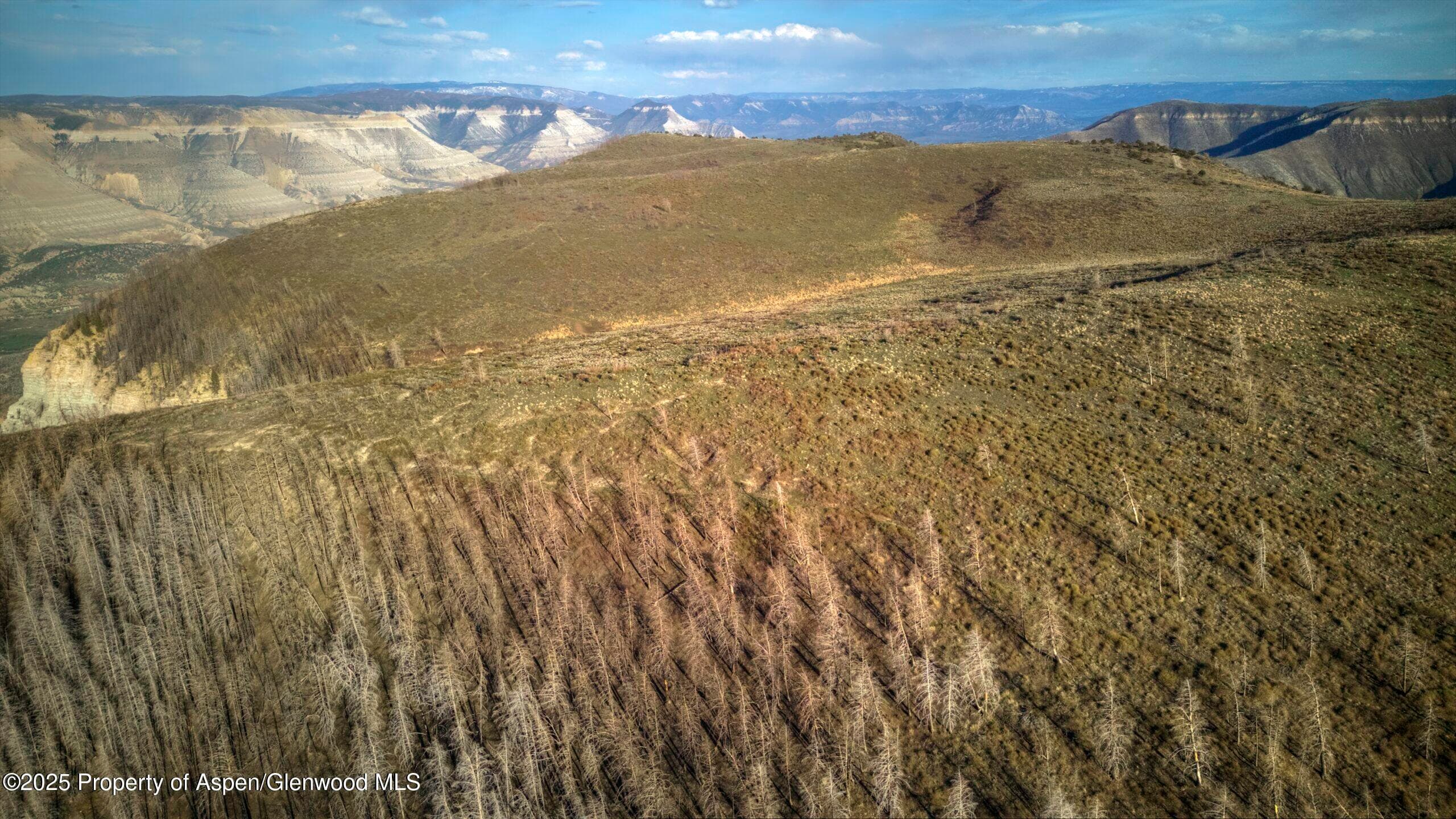 TBD County Road 202, De Beque, CO 81630 - Photo 13