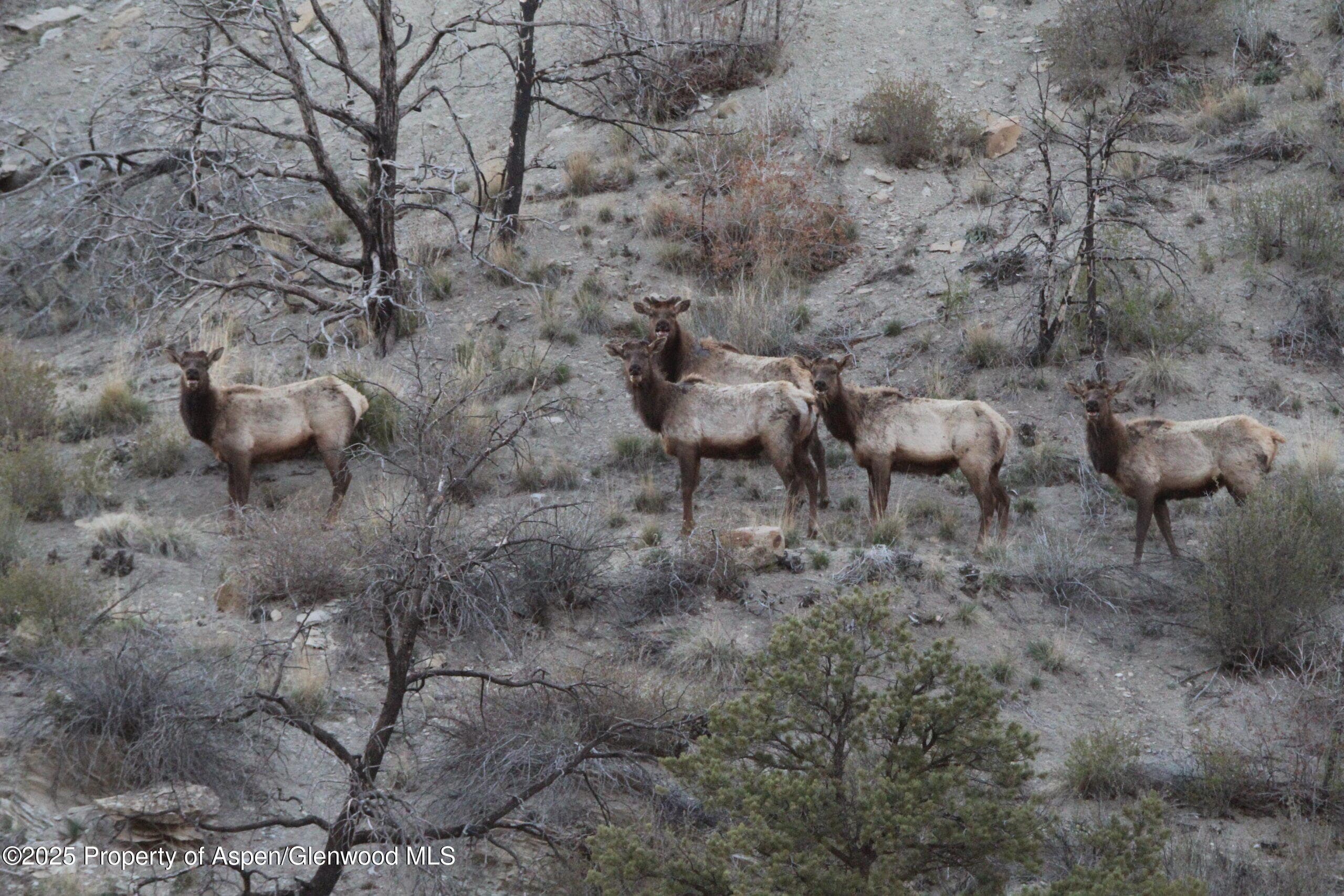 TBD County Road 202, De Beque, CO 81630 - Photo 20