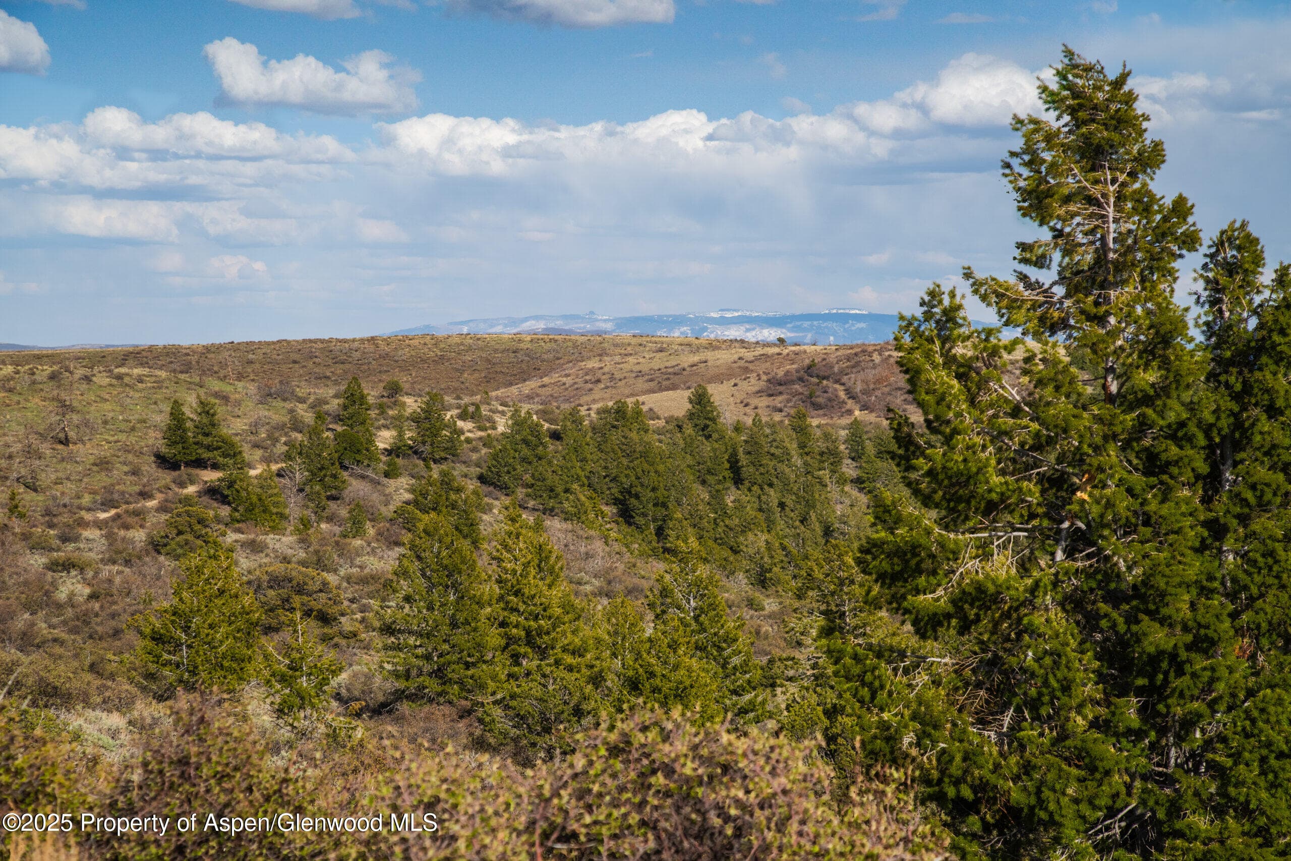 TBD County Road 202, De Beque, CO 81630 - Photo 23
