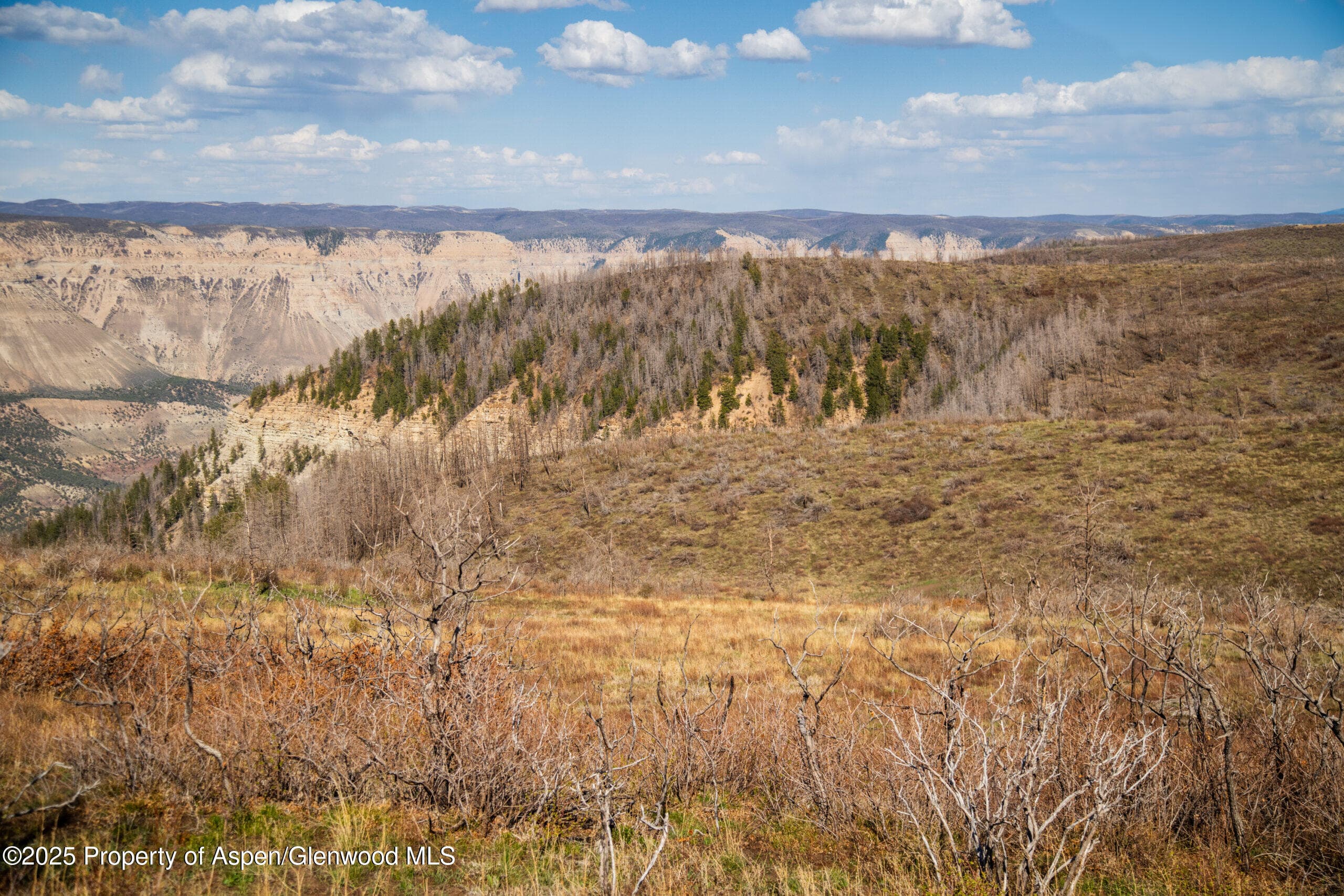 TBD County Road 202, De Beque, CO 81630 - Photo 24