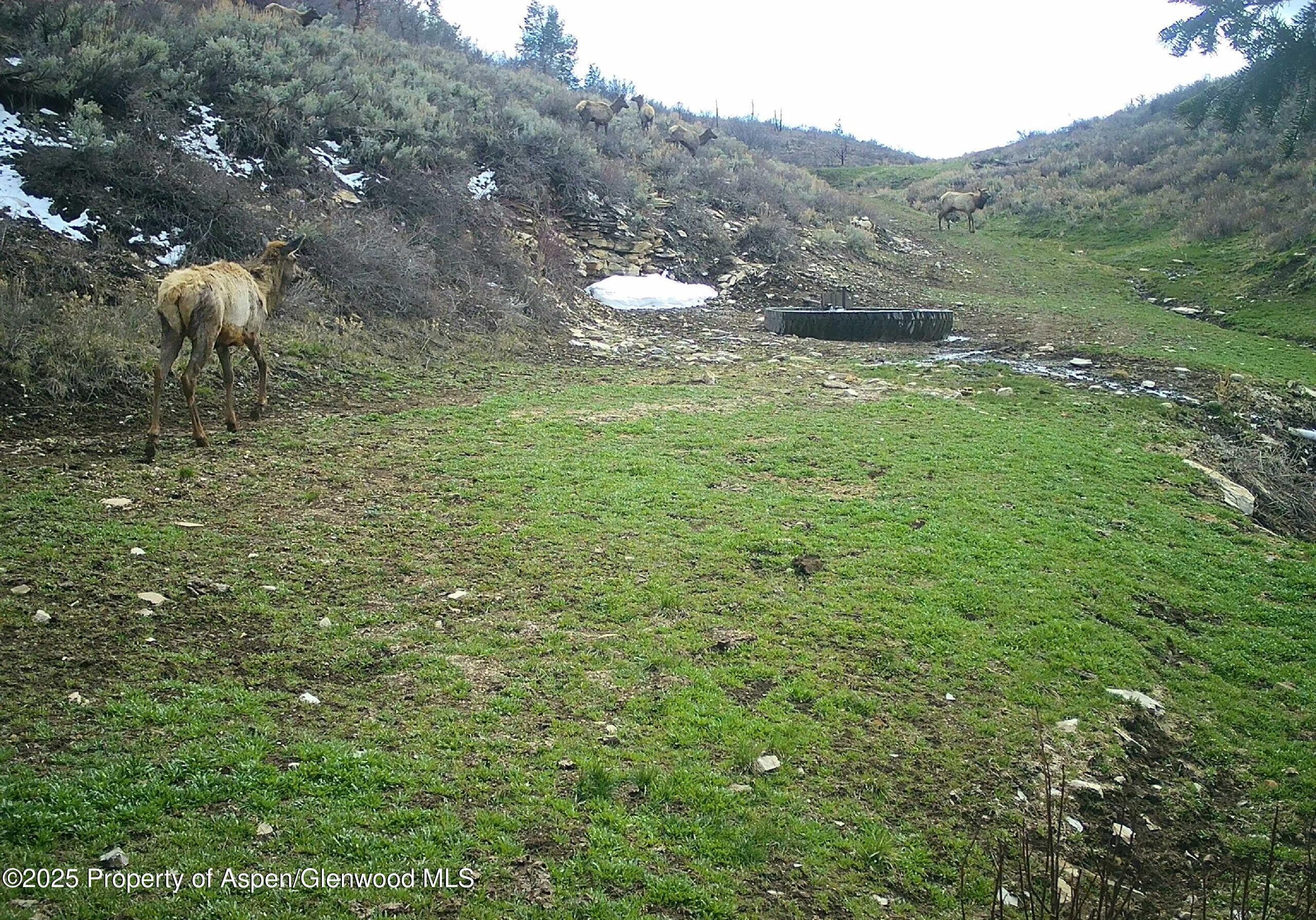 TBD County Road 202, De Beque, CO 81630 - Photo 25