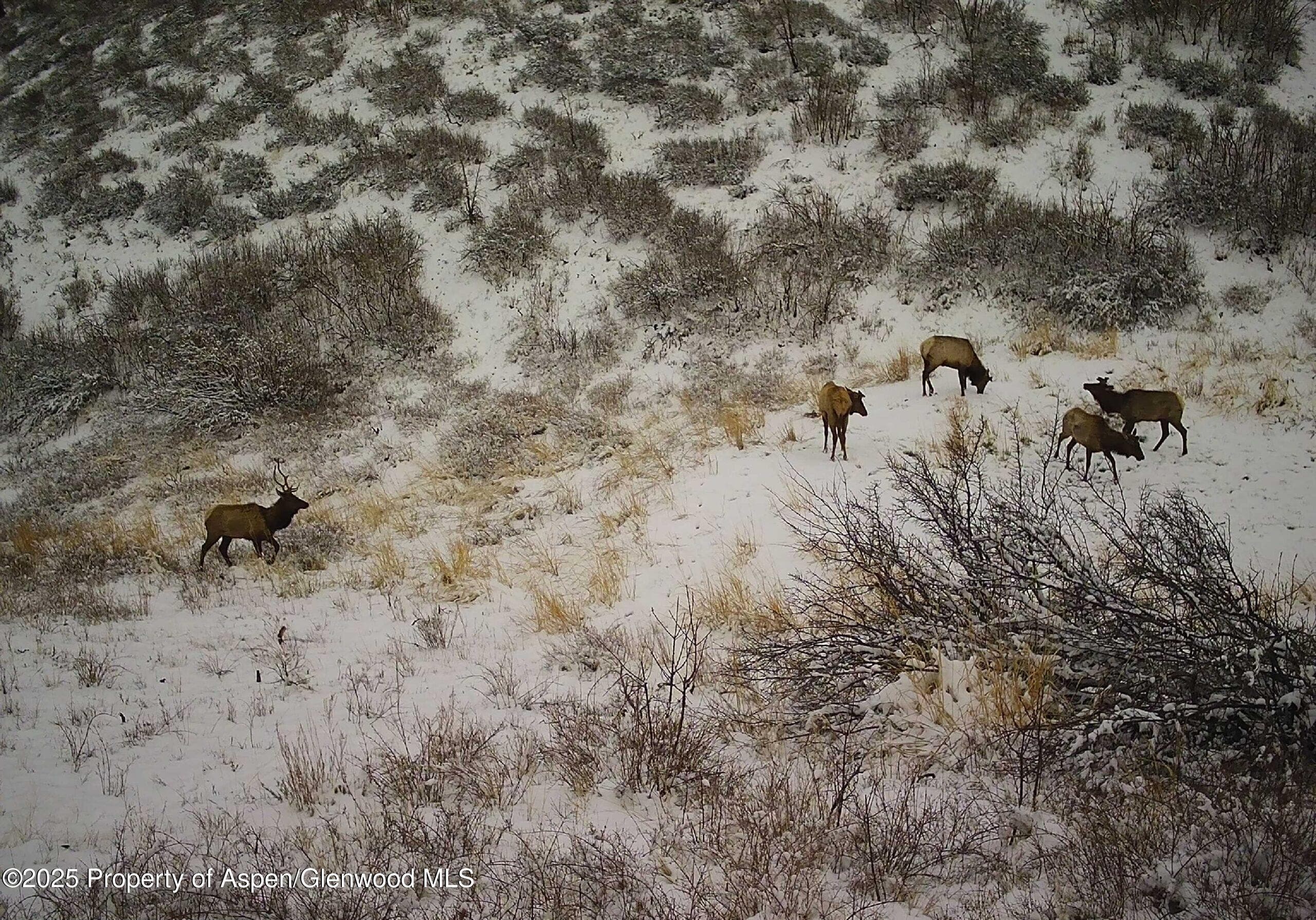 TBD County Road 202, De Beque, CO 81630 - Photo 29