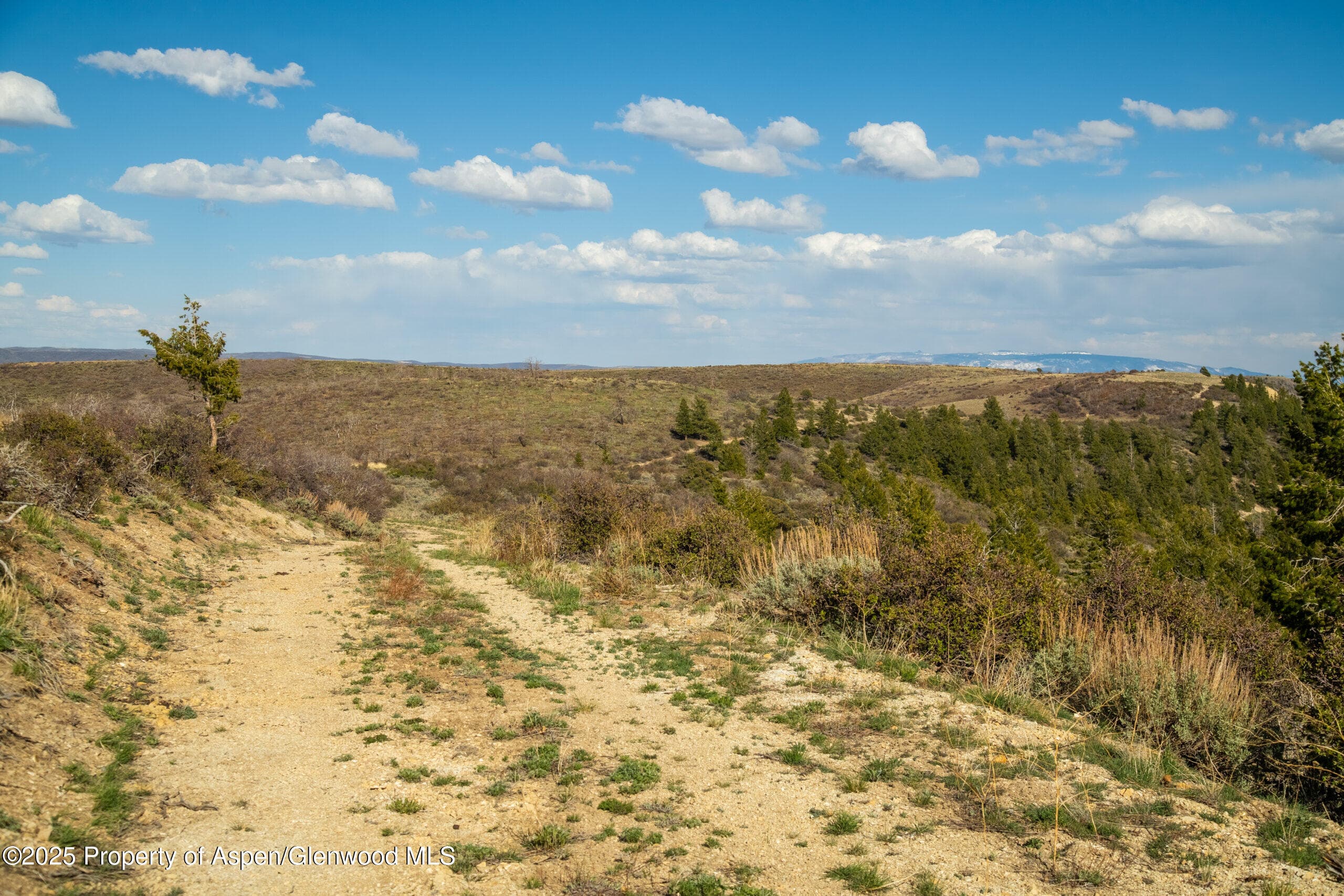 TBD County Road 202, De Beque, CO 81630 - Photo 31