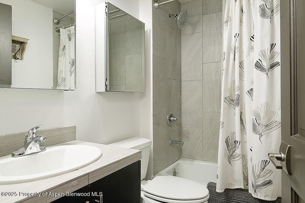 26 Twining Flats Road, Aspen, CO 81611 - Photo 16