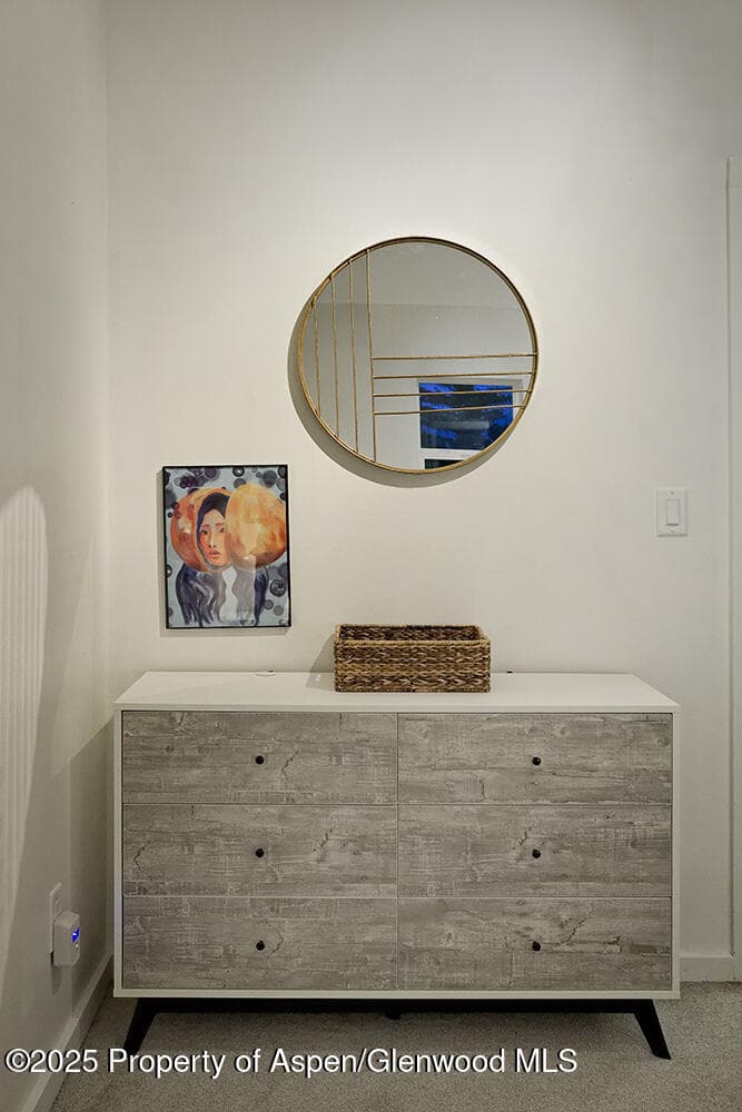 26 Twining Flats Road, Aspen, CO 81611 - Photo 17