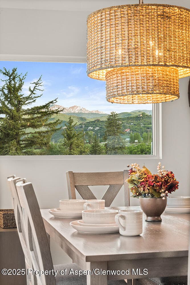 26 Twining Flats Road, Aspen, CO 81611 - Photo 9