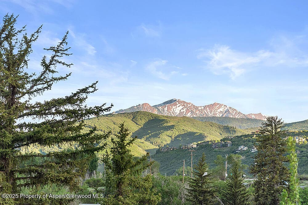 26 Twining Flats Road, Aspen, CO 81611 - Photo 22
