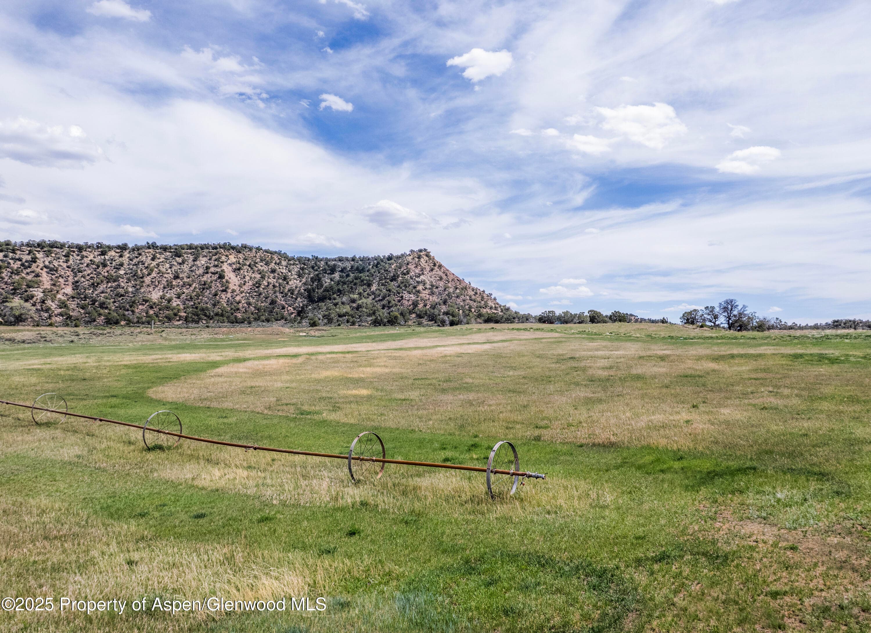 6526 County Road 331, Silt, CO 81652 - Photo 7