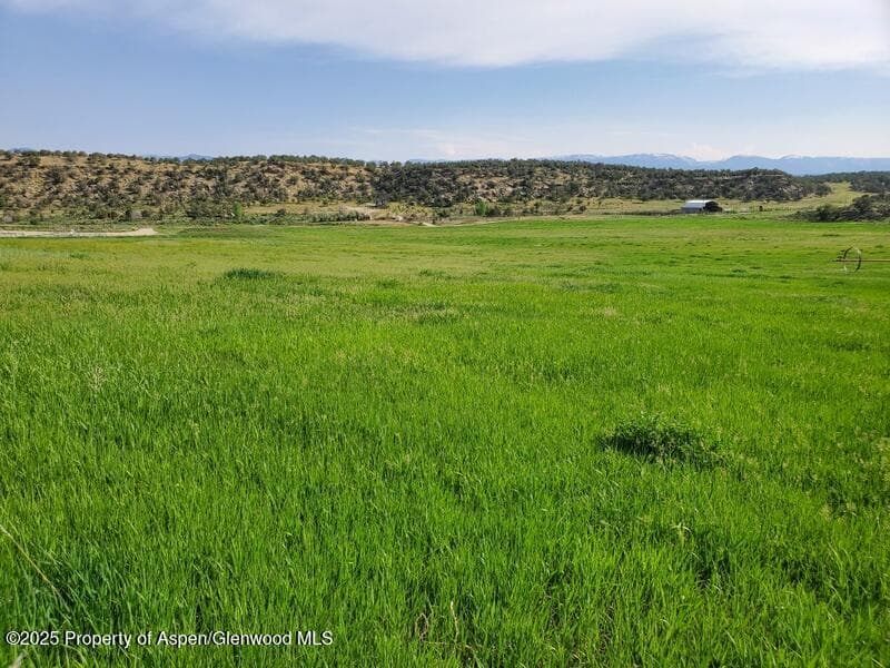 6526 County Road 331, Silt, CO 81652 - Photo 2