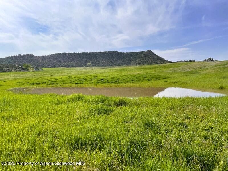 6526 County Road 331, Silt, CO 81652 - Photo 3