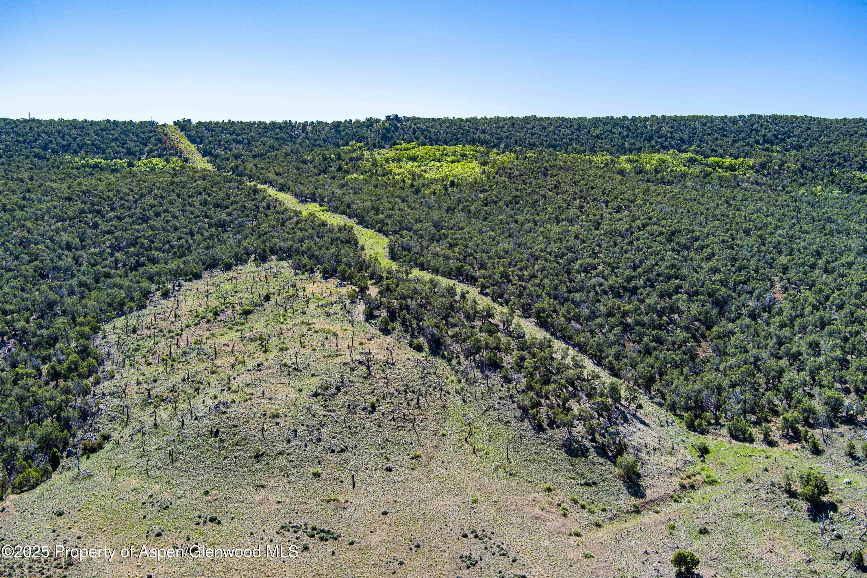 10444 County Road 320, Rifle, CO 81650 - Photo 41
