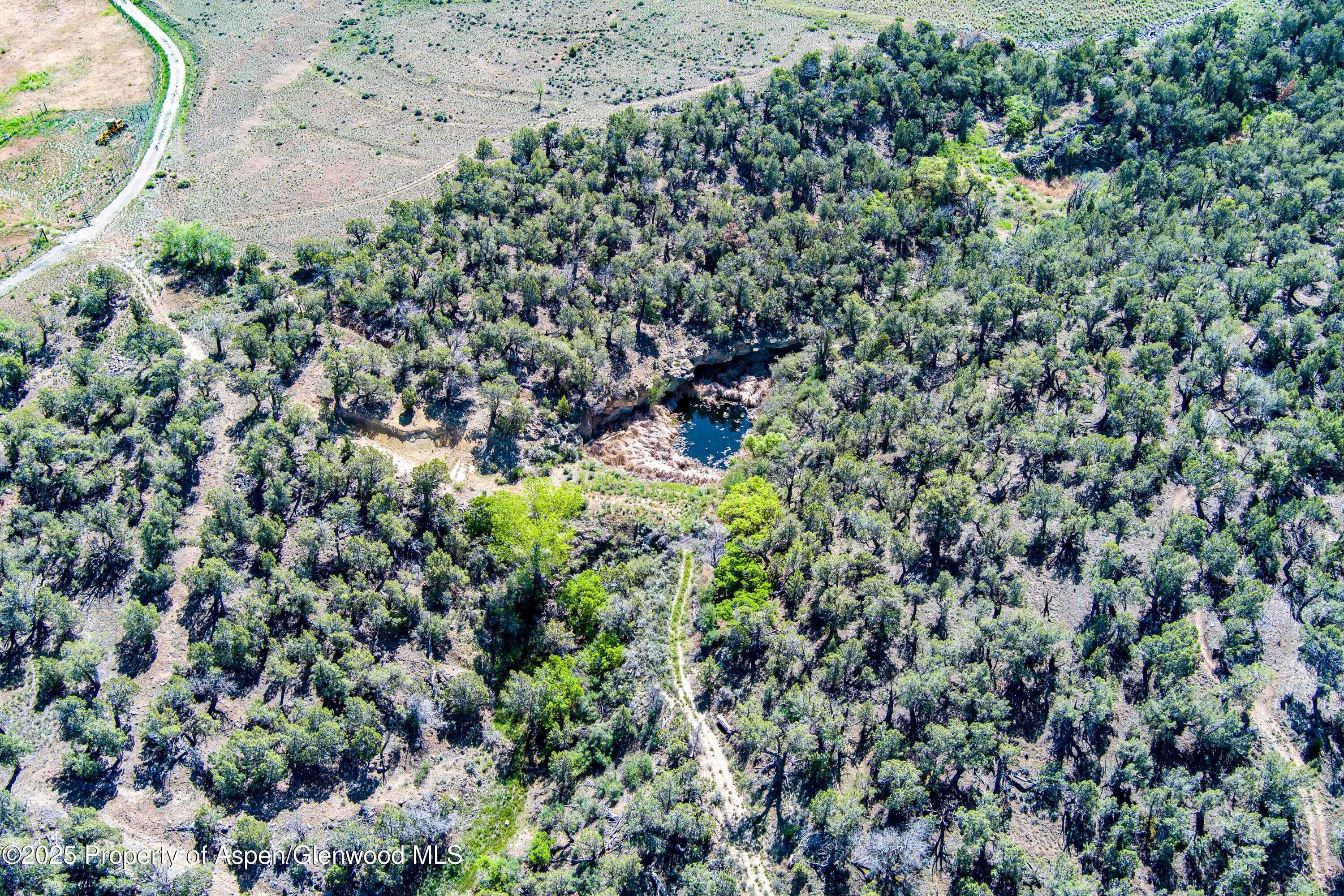 10444 County Road 320, Rifle, CO 81650 - Photo 46