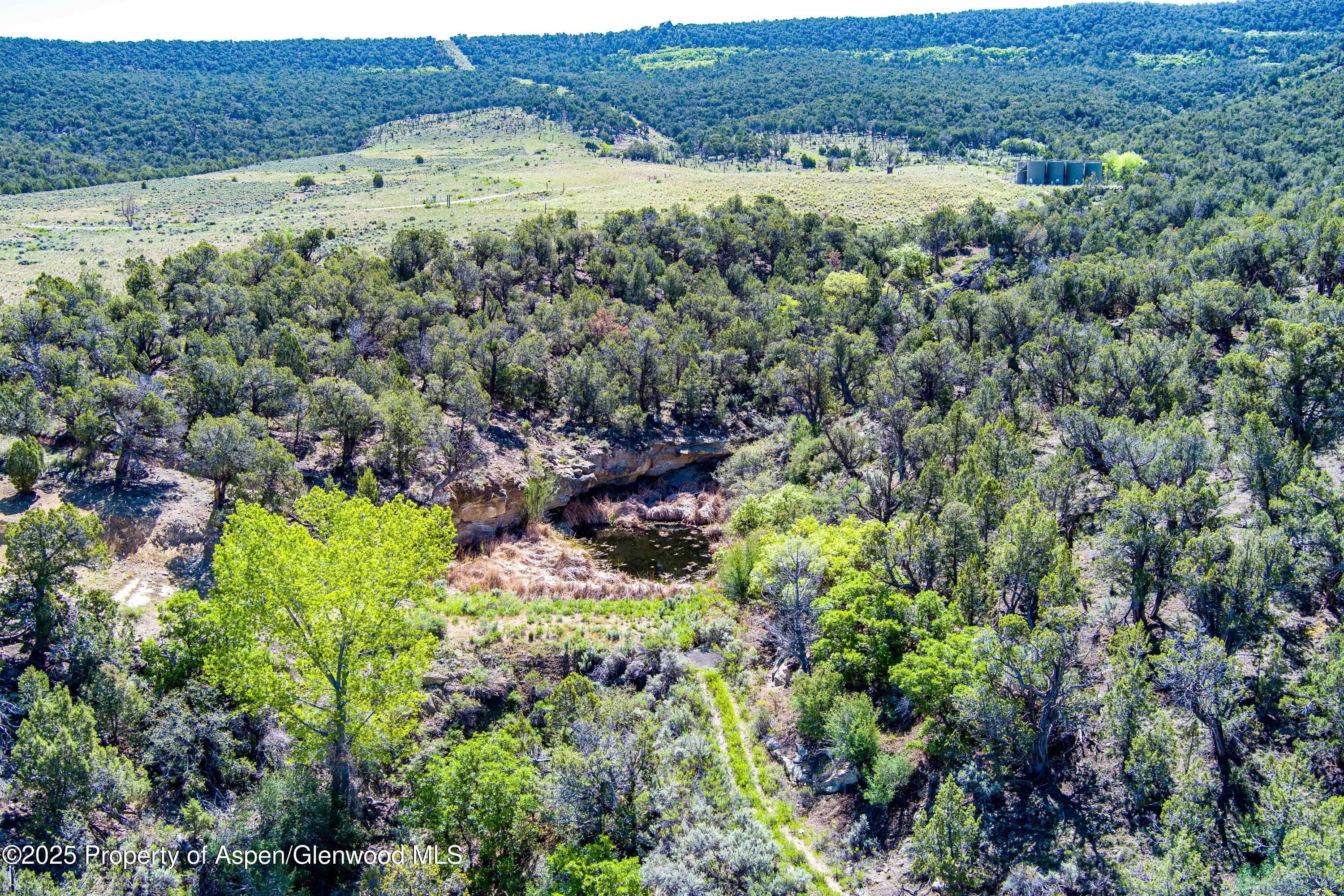 10444 County Road 320, Rifle, CO 81650 - Photo 47