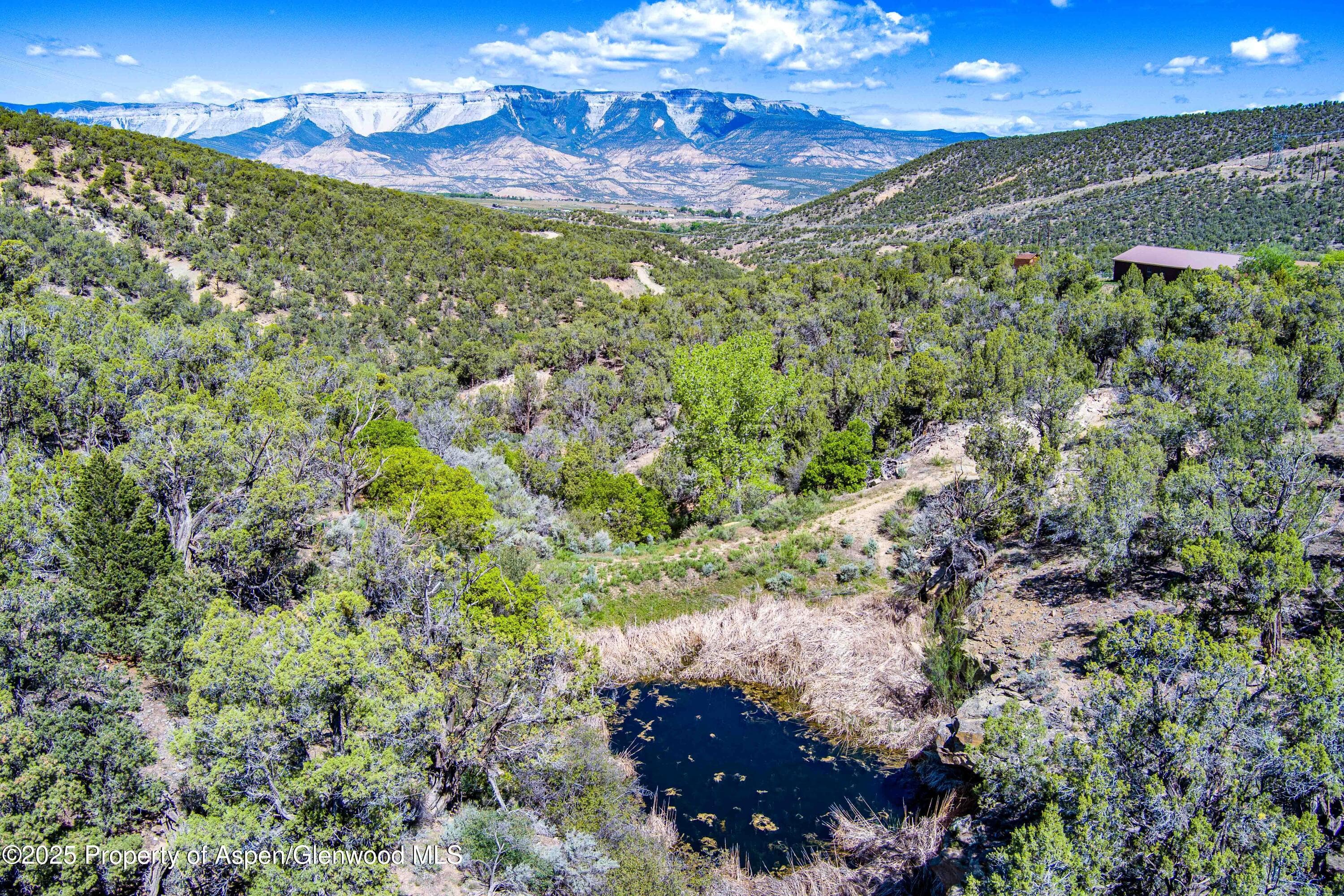 10444 County Road 320, Rifle, CO 81650 - Photo 7