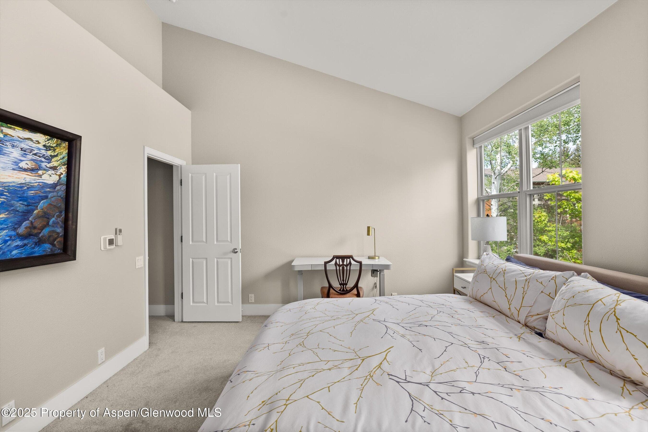 612 Evans Court, Basalt, CO 81621 - Photo 7