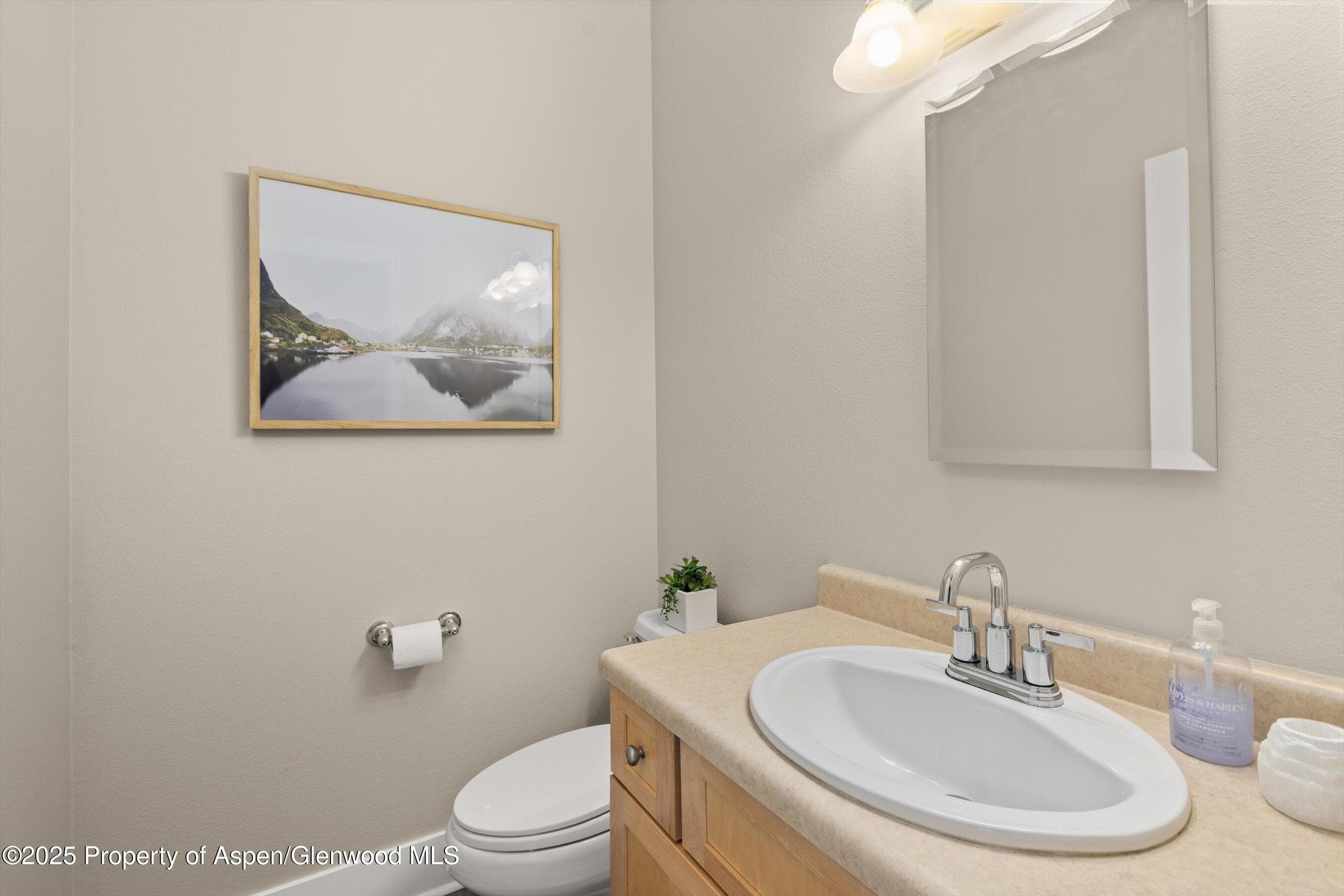 612 Evans Court, Basalt, CO 81621 - Photo 9