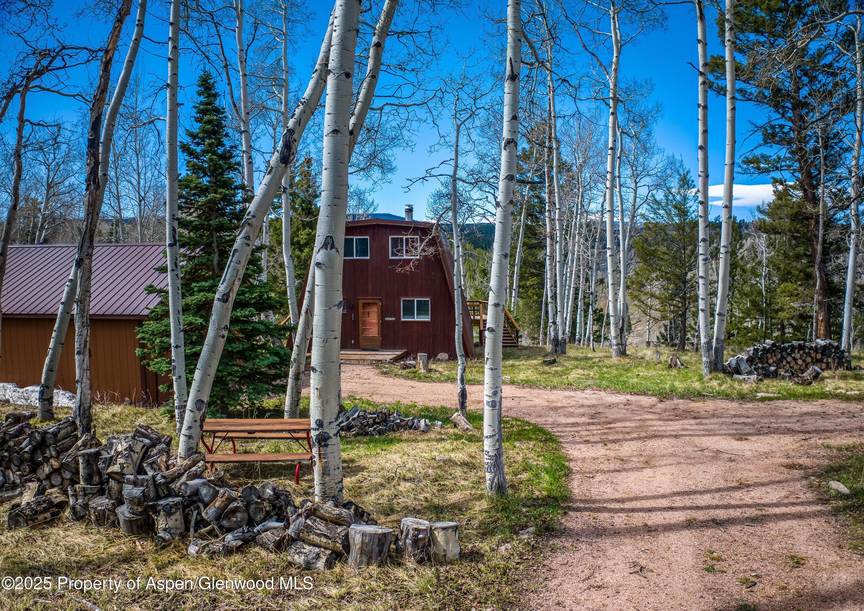 771 Spruce Road, Cimarron, CO 81220 - Photo 4
