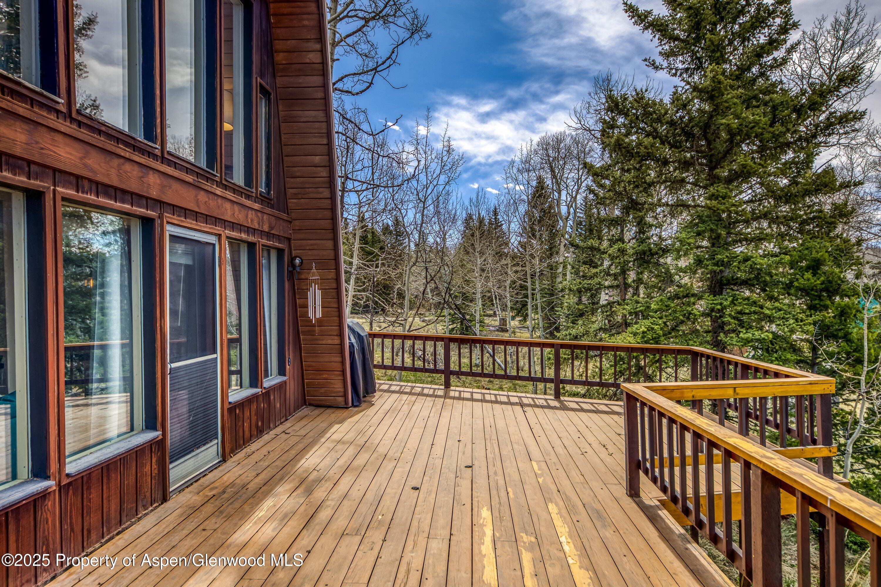 771 Spruce Road, Cimarron, CO 81220 - Photo 21