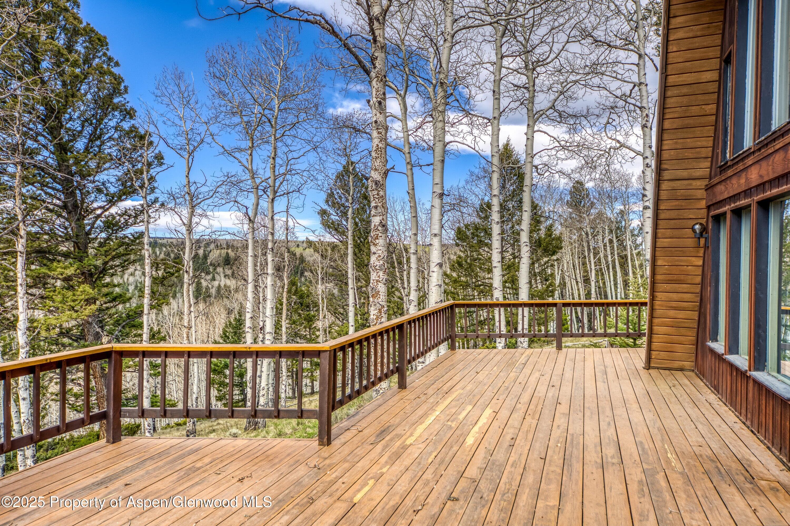 771 Spruce Road, Cimarron, CO 81220 - Photo 23