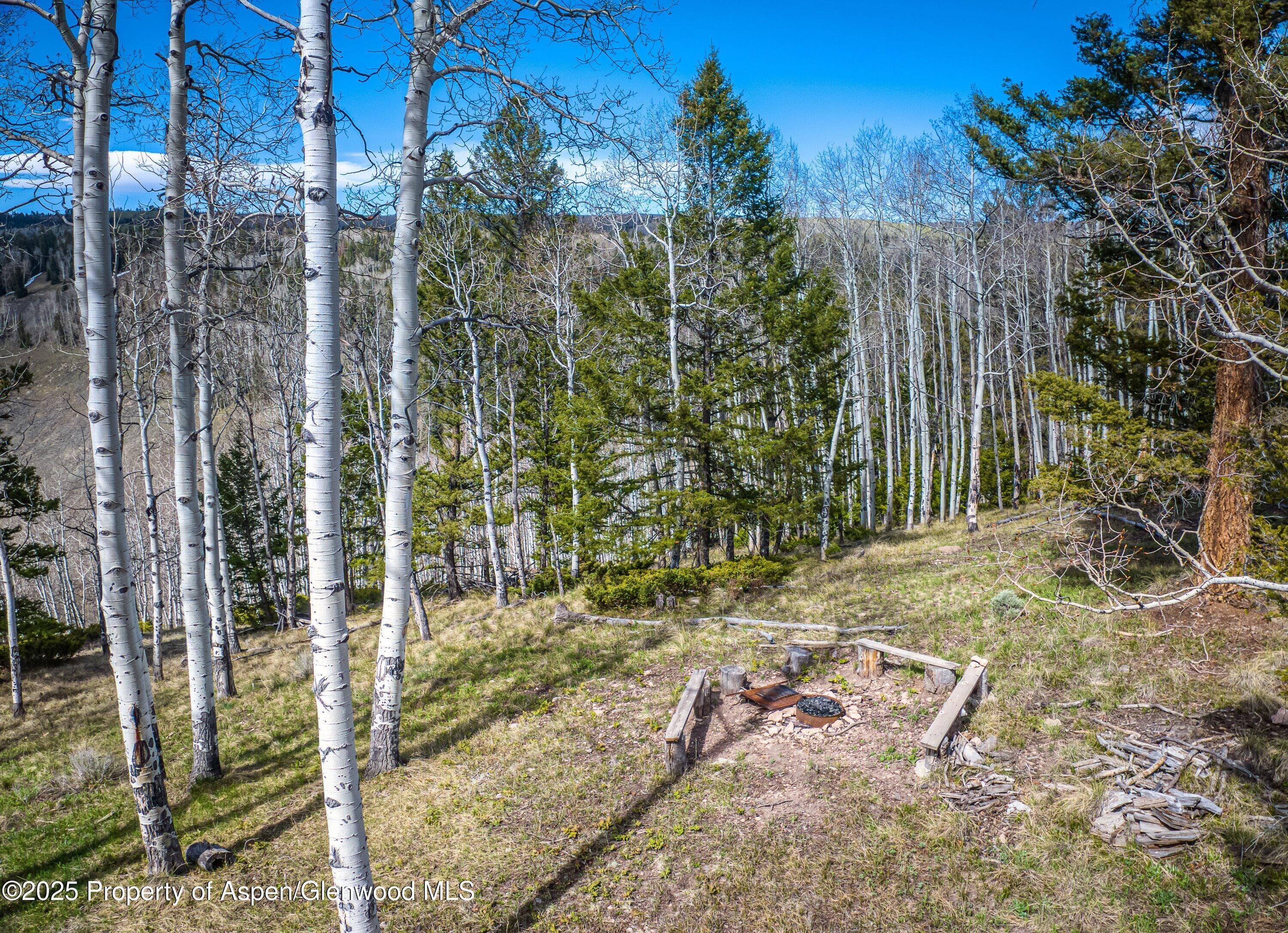 771 Spruce Road, Cimarron, CO 81220 - Photo 24