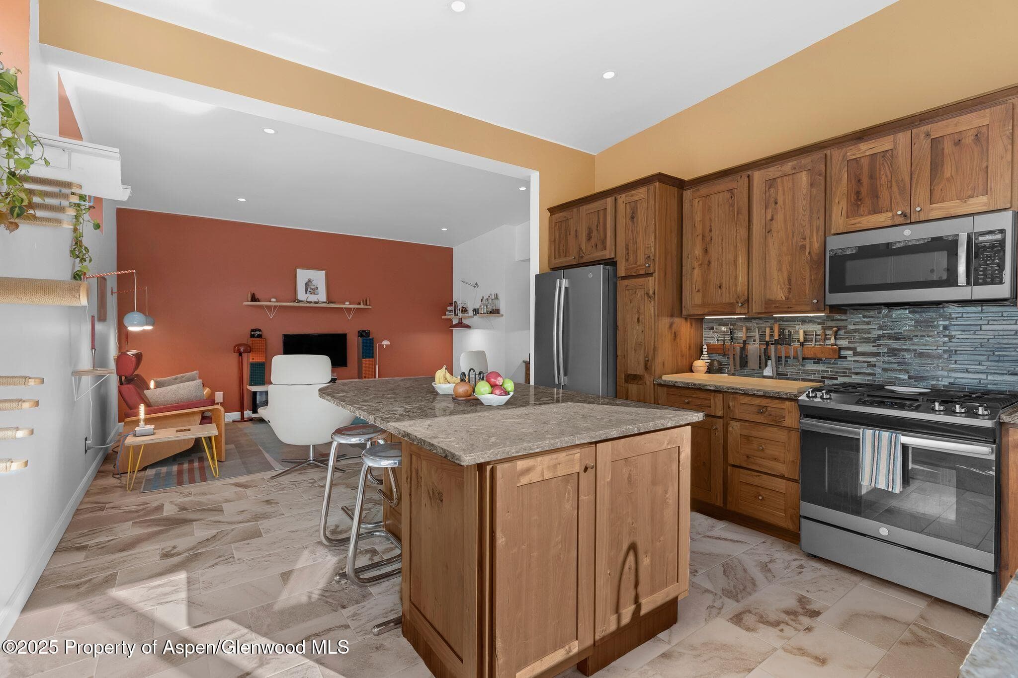 103 TROUT RUN Drive, Redstone, CO 81623 - Photo 9