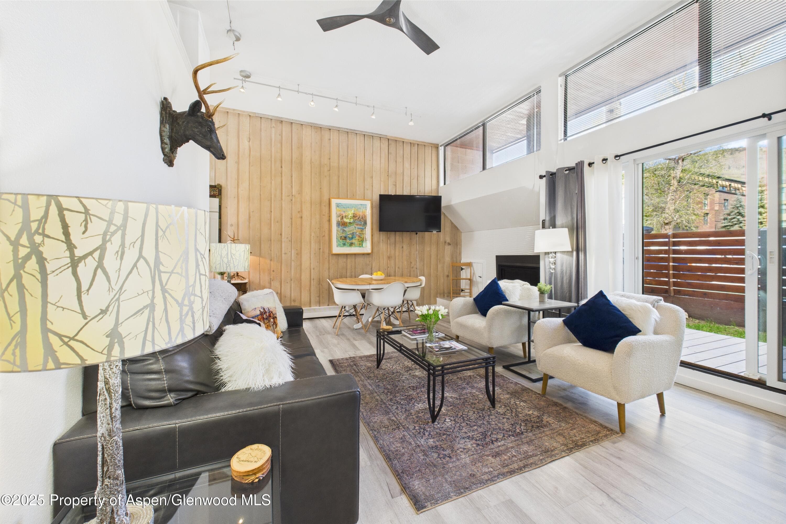 311 S Aspen Street 3, Aspen, CO 81611