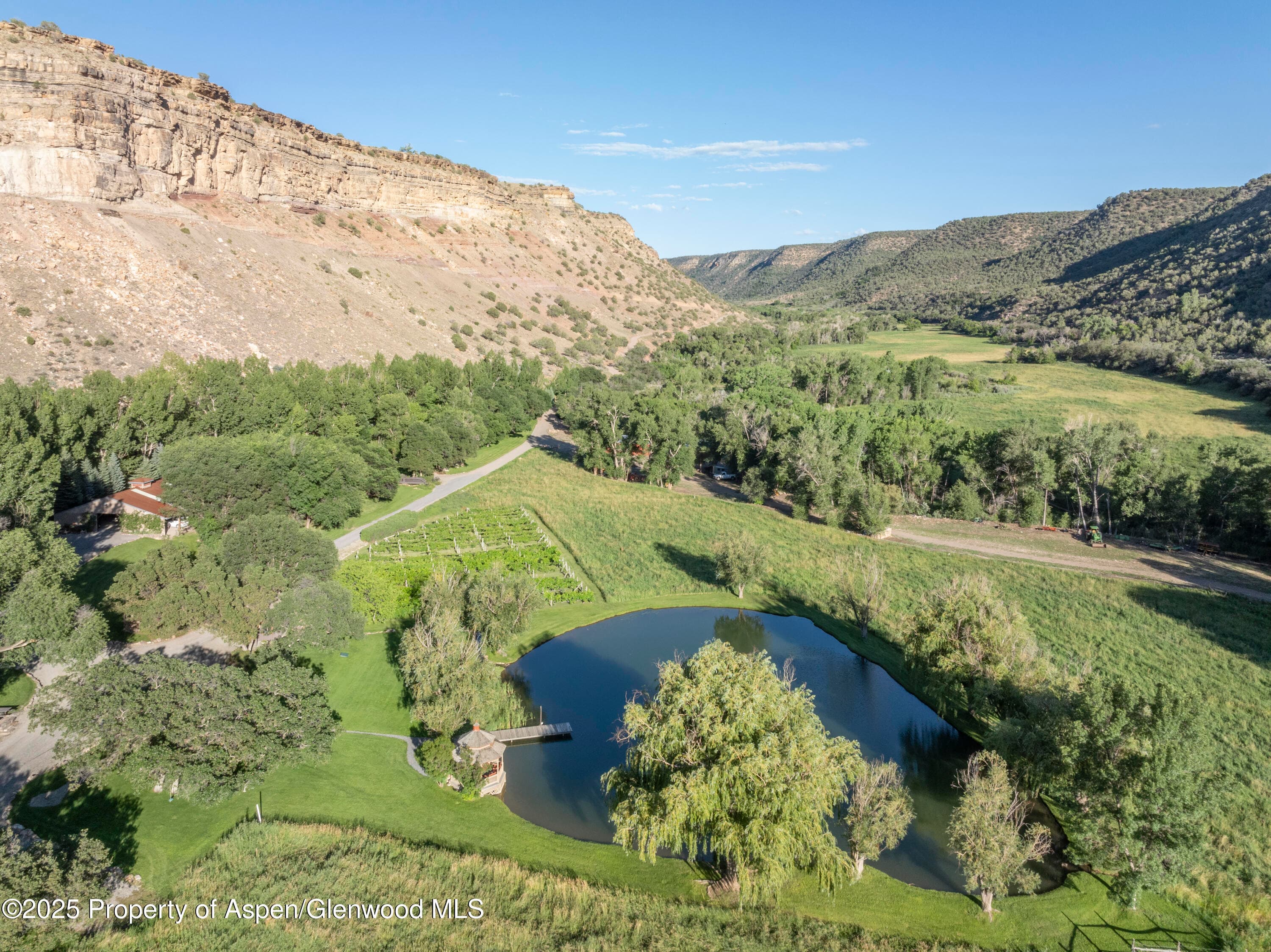 34074 Fruitland Mesa Road, Crawford, CO 81415 - Photo 4