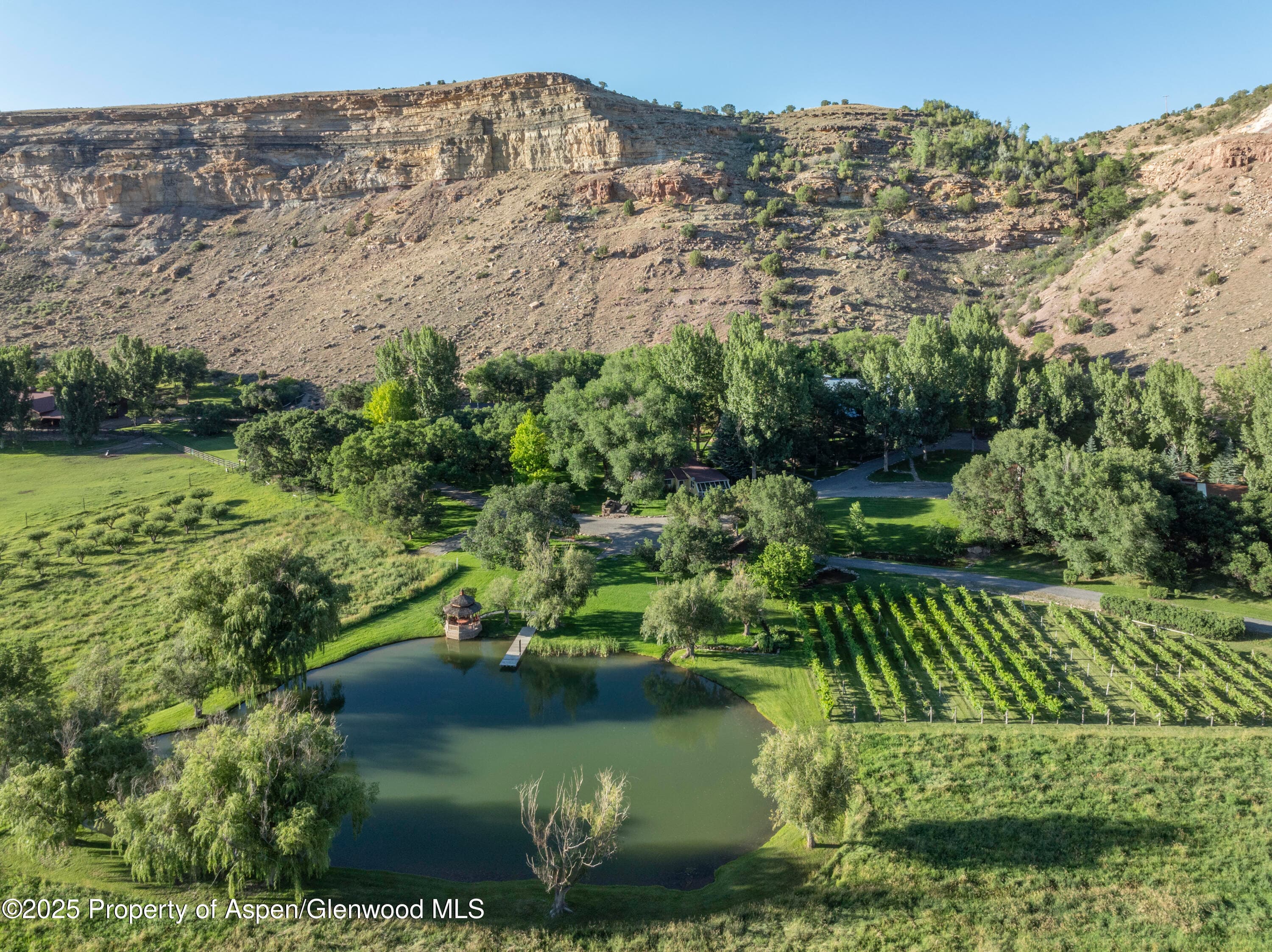 34074 Fruitland Mesa Road, Crawford, CO 81415 - Photo 14