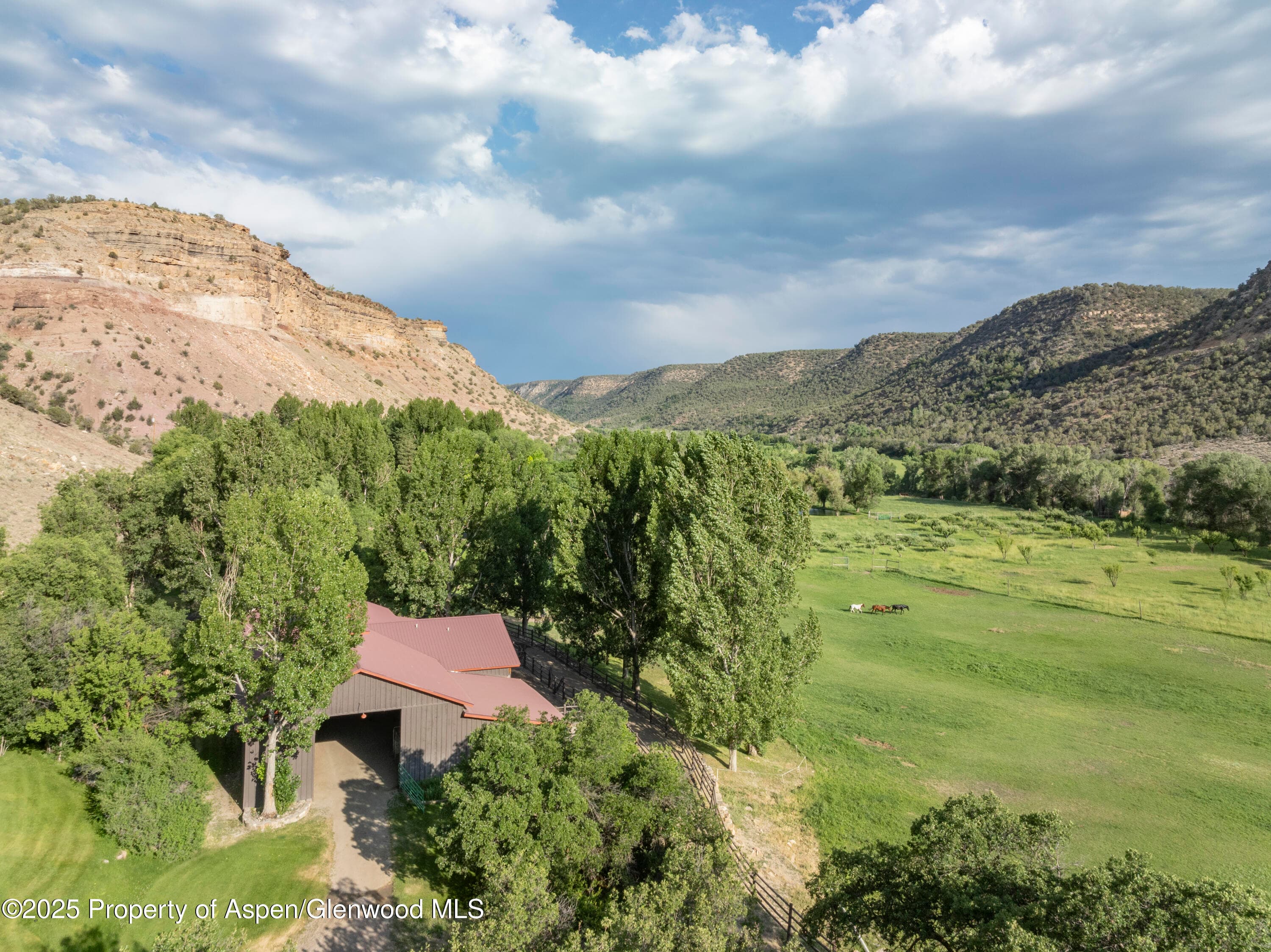 34074 Fruitland Mesa Road, Crawford, CO 81415 - Photo 17